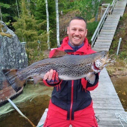lake trout