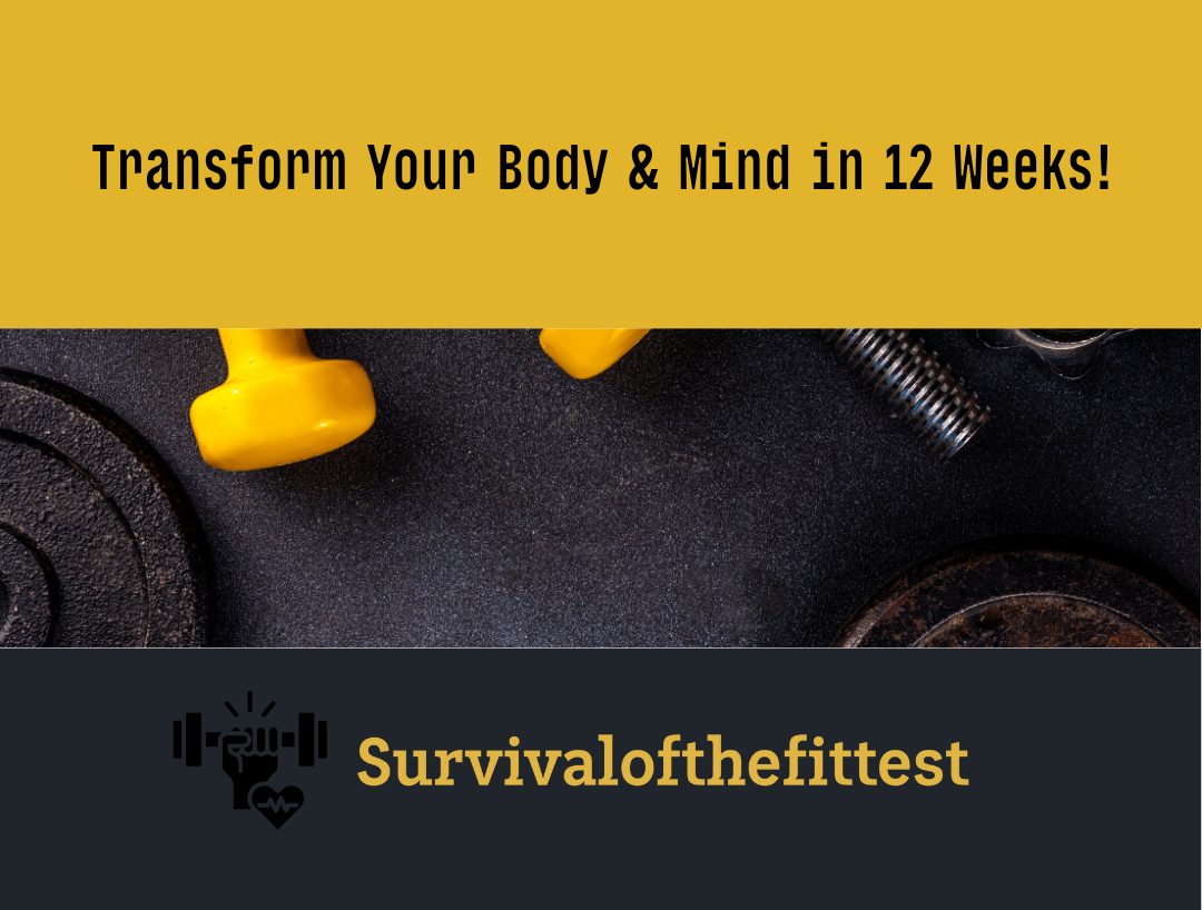 12-Week Transformation Program