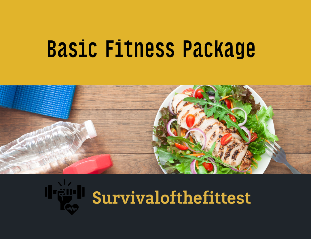 Basic Wellness program