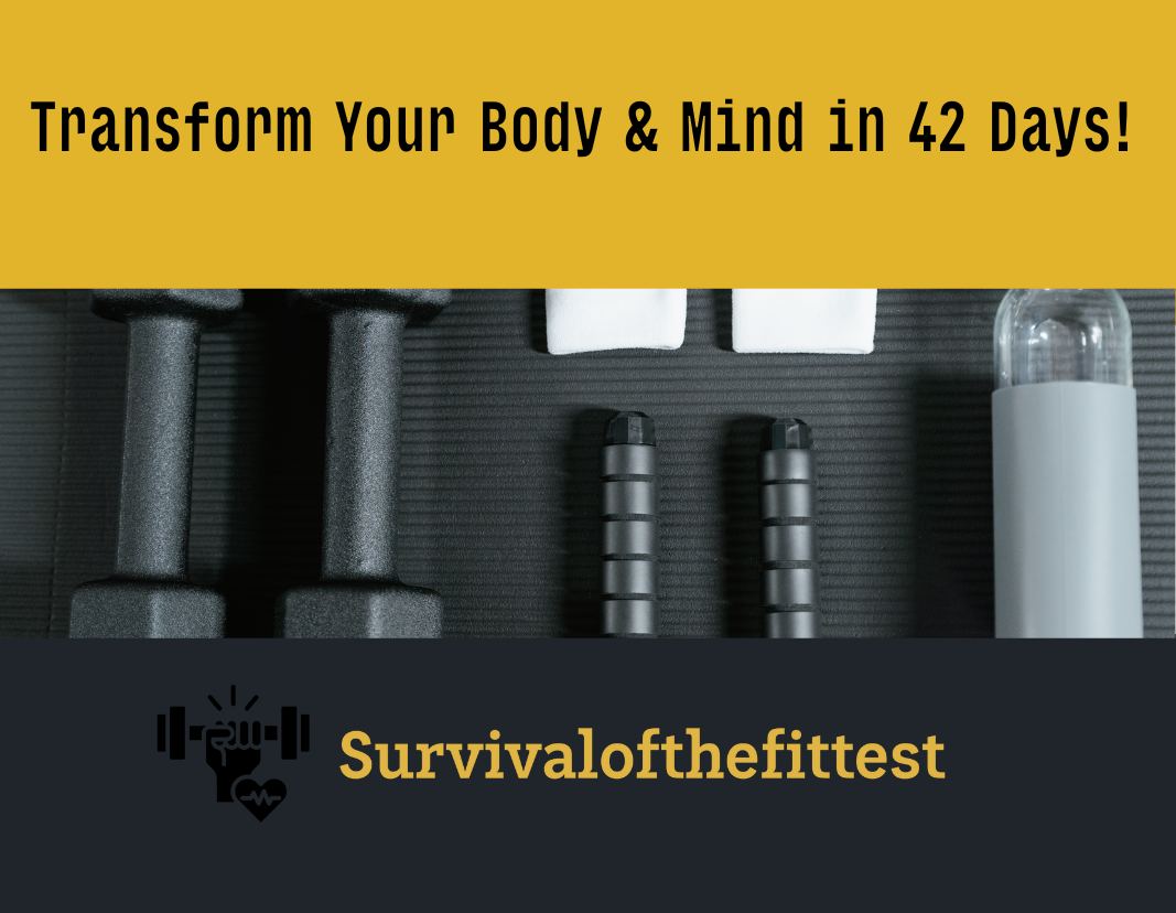 6-Week Workout Program