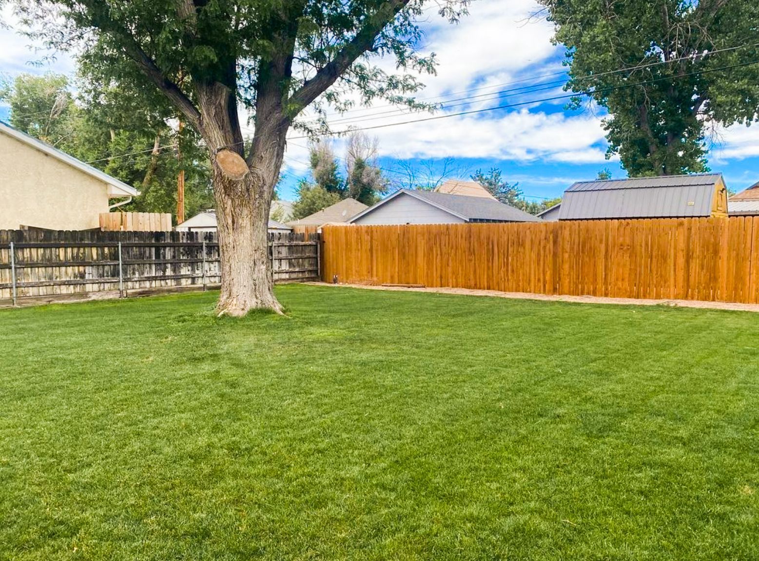 Grassy backyard with a large tree and orange wooden fence under a partly cloudy sky