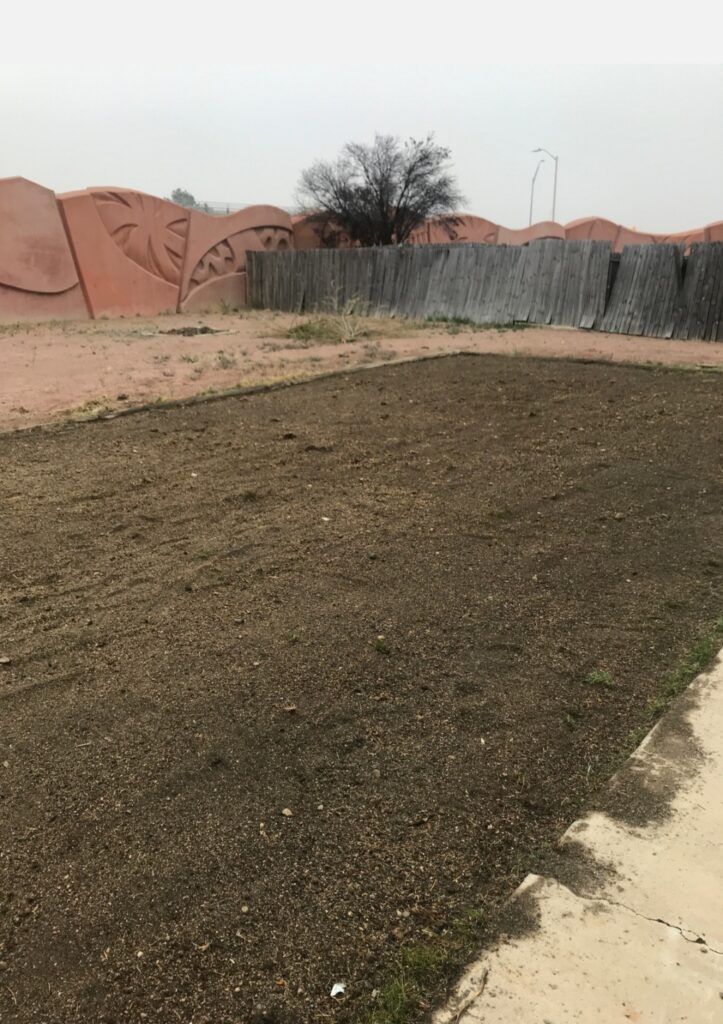 Dry, rectangular garden plot beside a path, with a wall, trees, and buildings in the background.