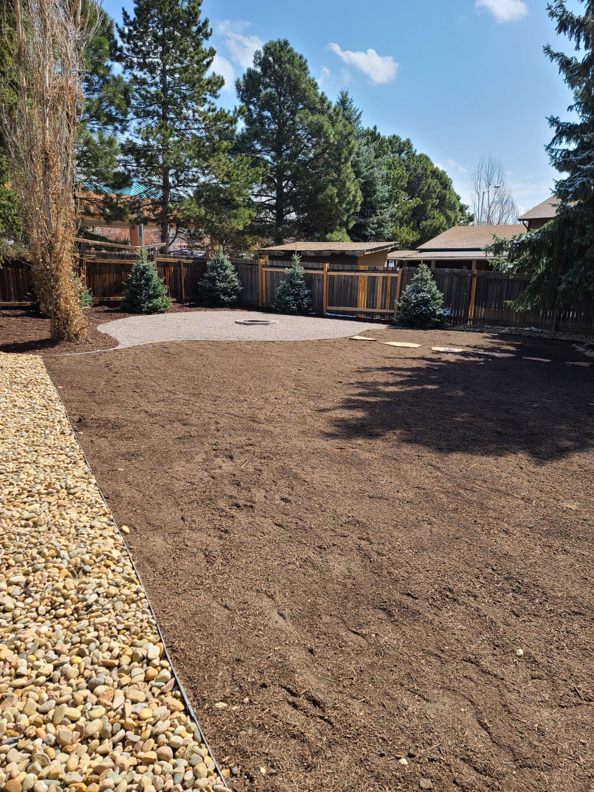 Backyard with mulch area, gravel border, tall trees, and wooden fence under a blue sky
