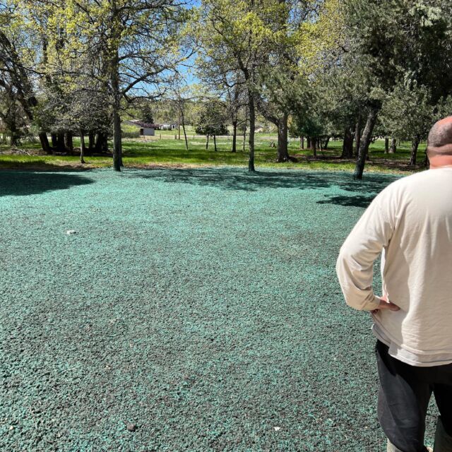 Person standing in a park beside a large turquoise ground covering under trees