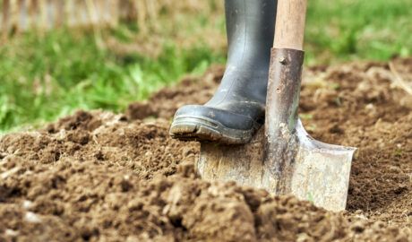 Person using a shovel to dig soil in a garden or field