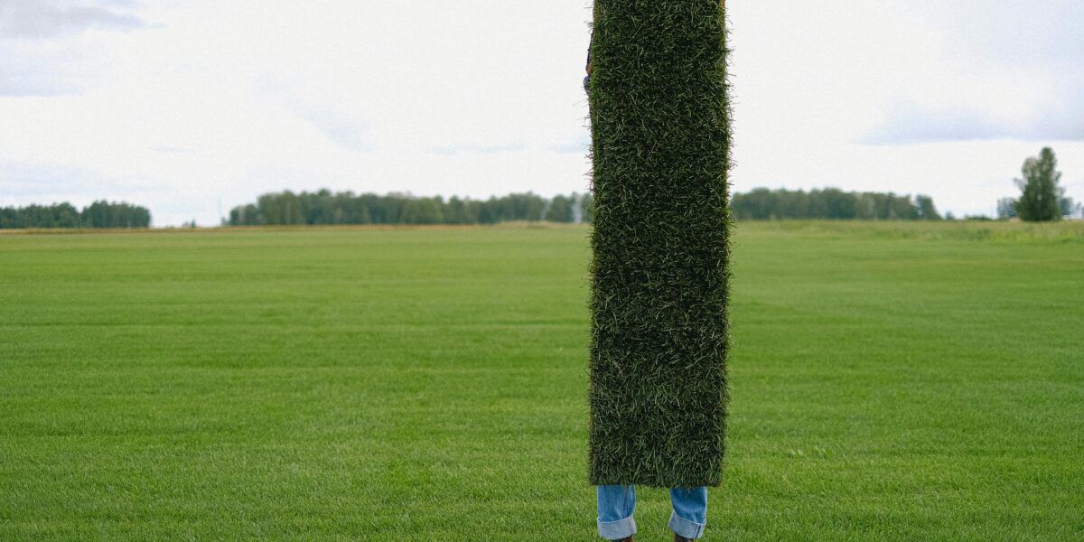 A tall, narrow topiary sculpture stands in a green field under an overcast sky.