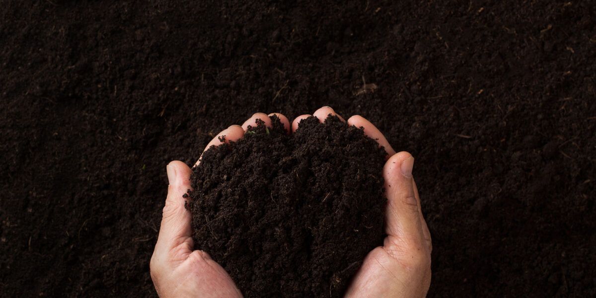 Hands holding a pile of dark soil
