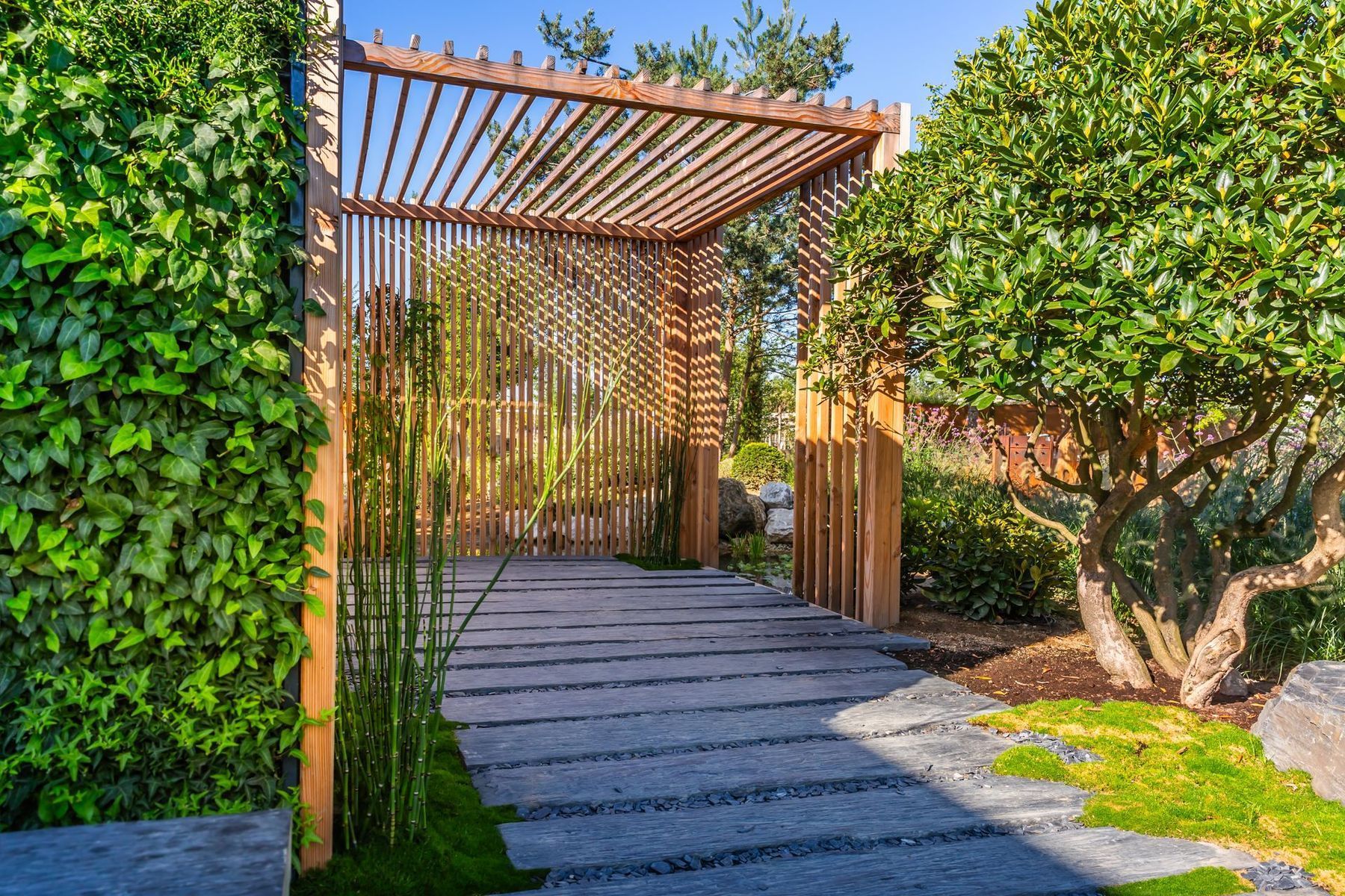 A wooden pergola covers a path made of large gray stone slabs, surrounded by lush green foliage and a tree in a garden.
