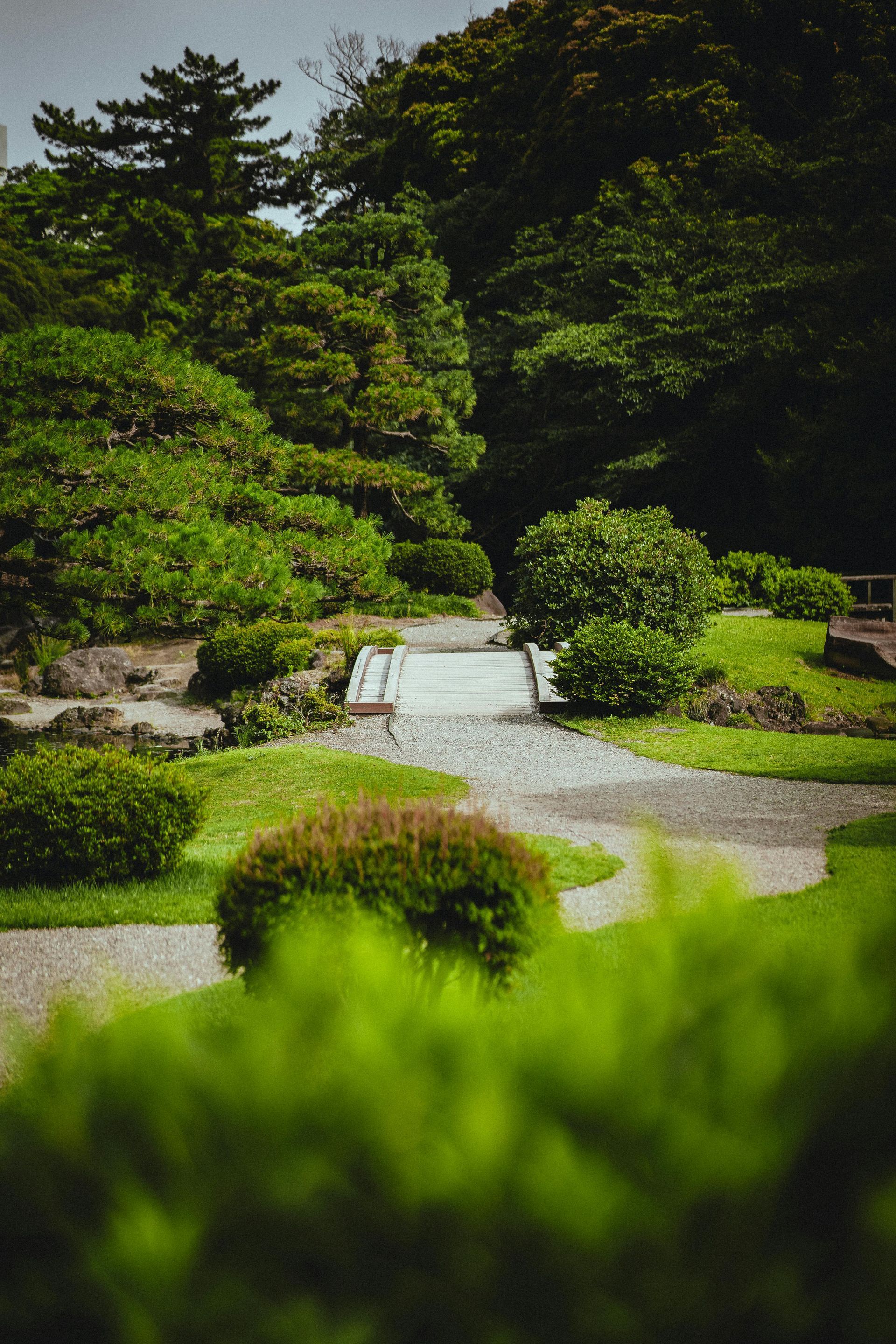 A quiet garden path with a small stone bridge, surrounded by lush green shrubs and trees under a bright sky.