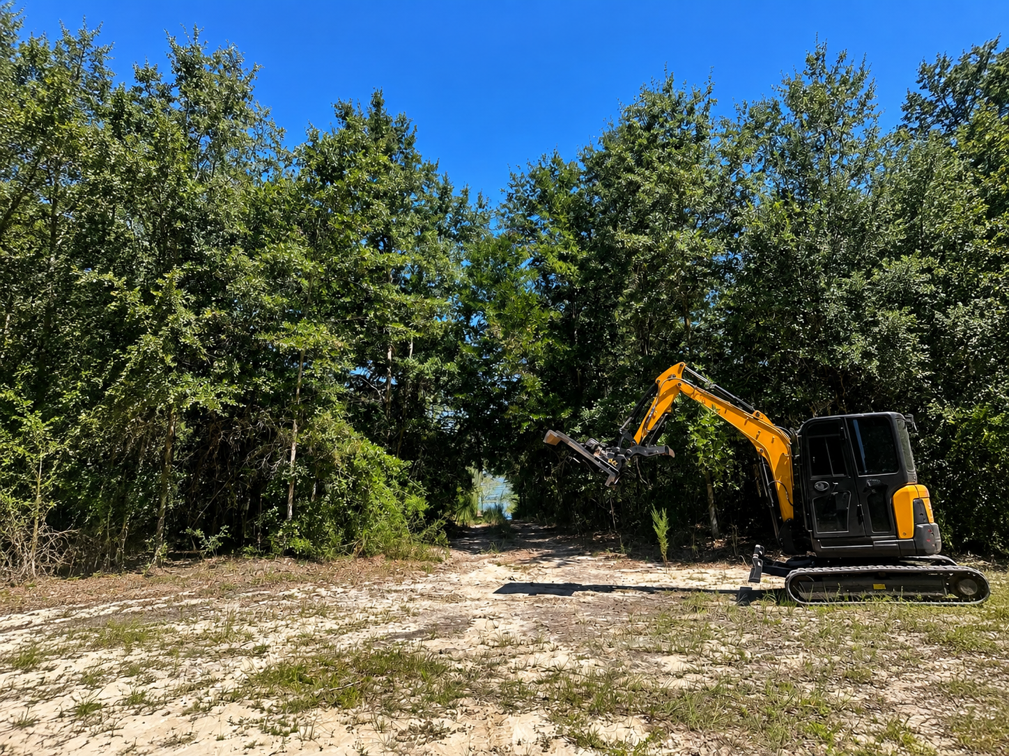 Yellow excavator clearing a sandy lot beside dense green trees under a blue sky
