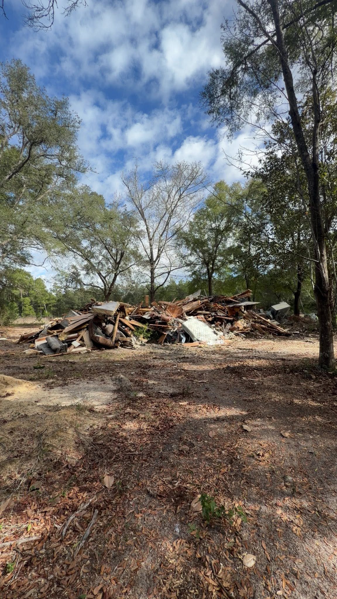 Clearing with scattered wood debris and trees under a partly cloudy sky