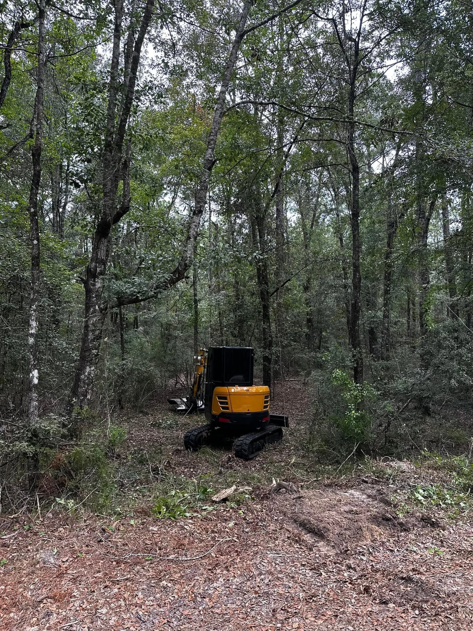 Yellow off-road vehicle in a dense forest clearing with leaf-covered ground