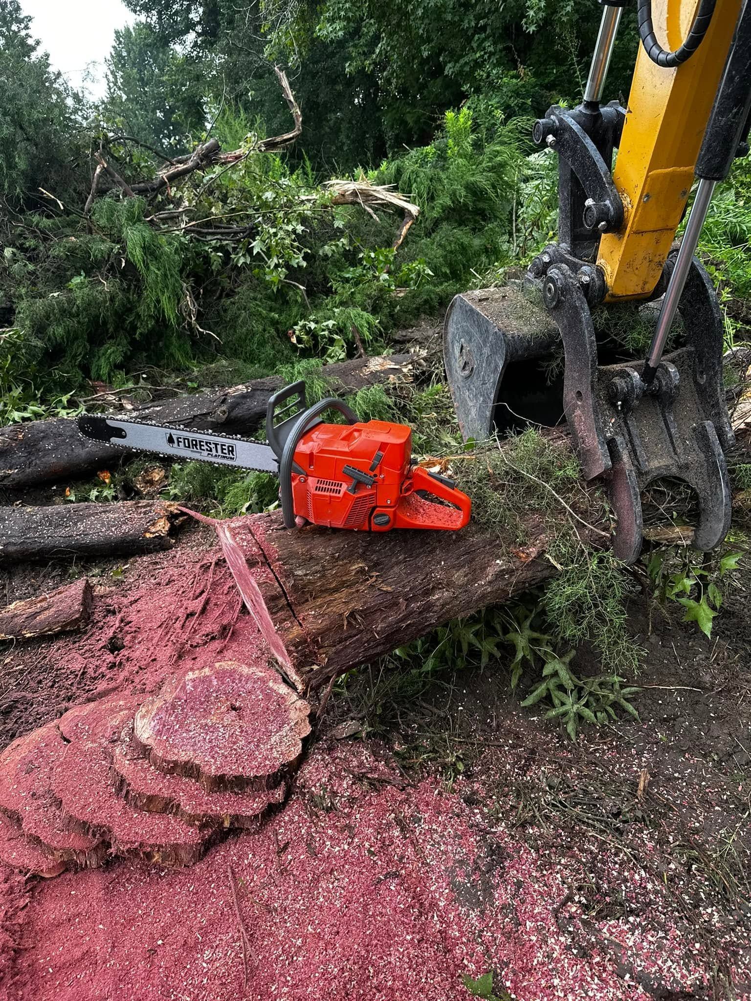 Yellow excavator cutting a tree trunk with a red chainsaw, wood chips scattered on the ground.