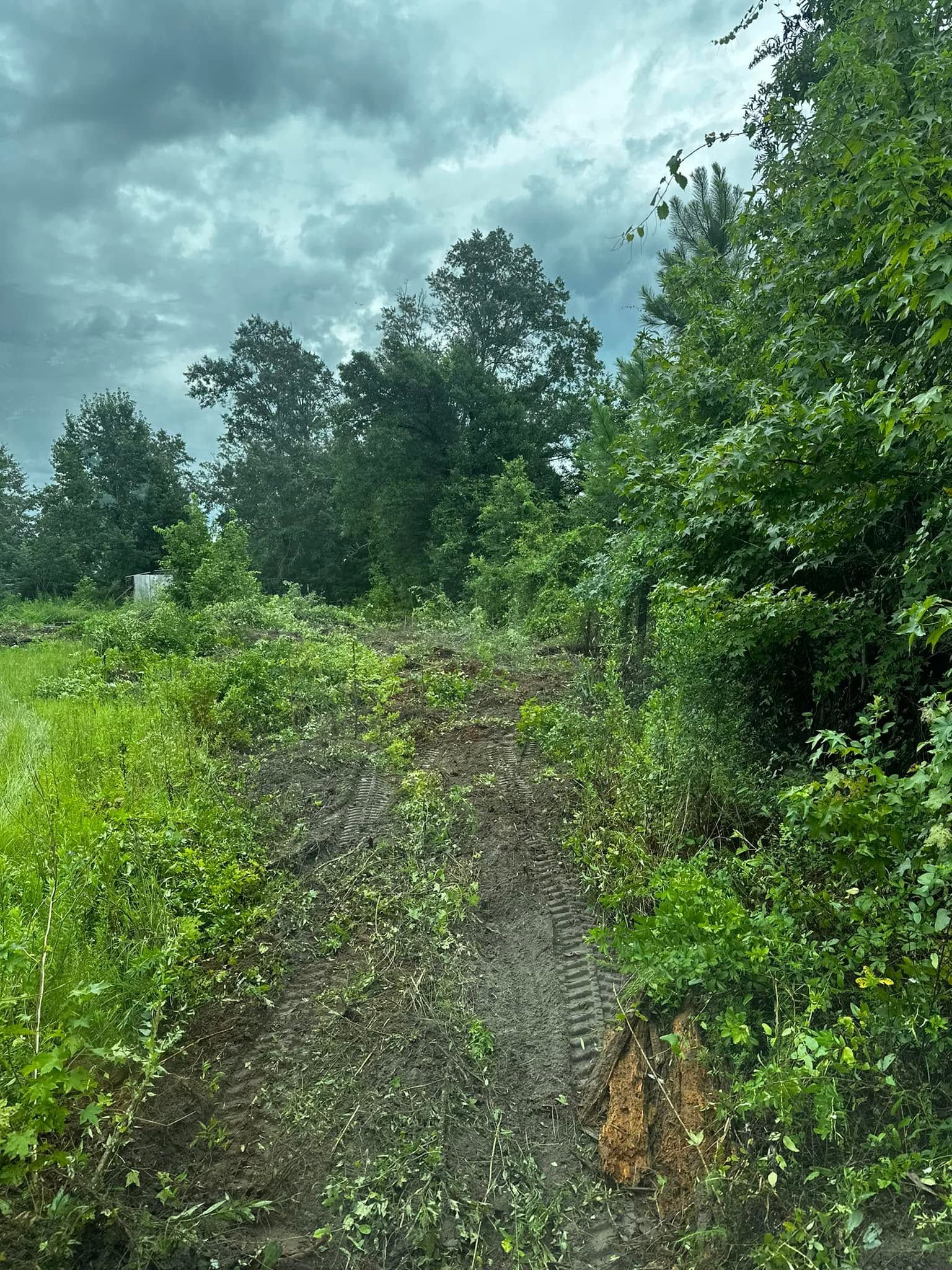 Narrow muddy path through lush green vegetation under a cloudy sky