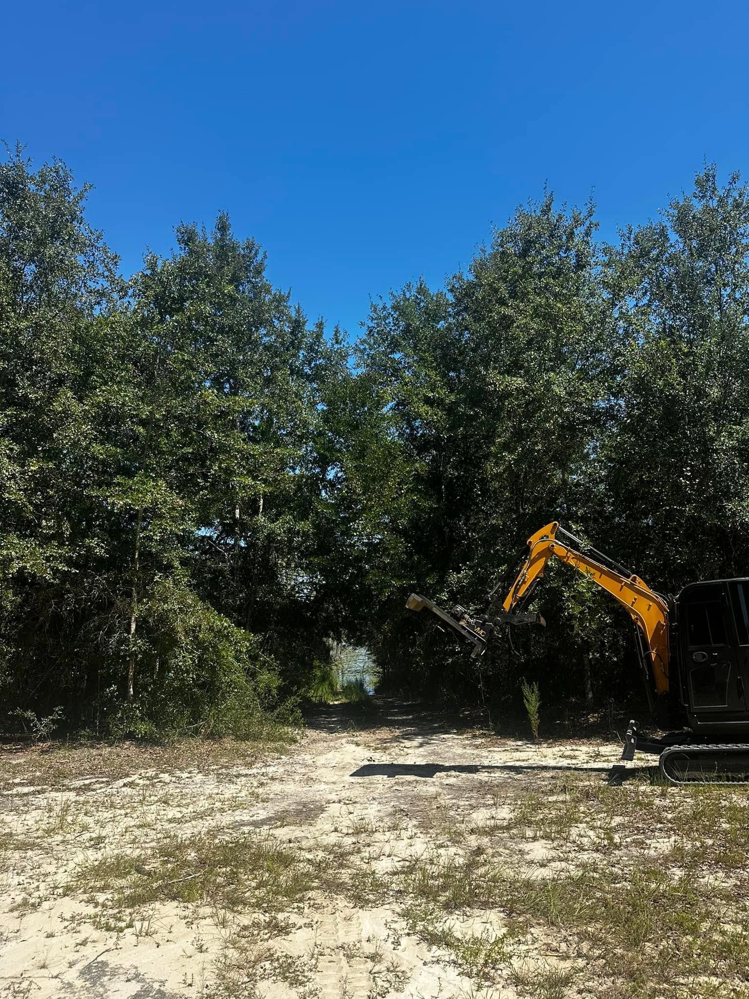 Yellow excavator working beside dense green trees under a clear blue sky