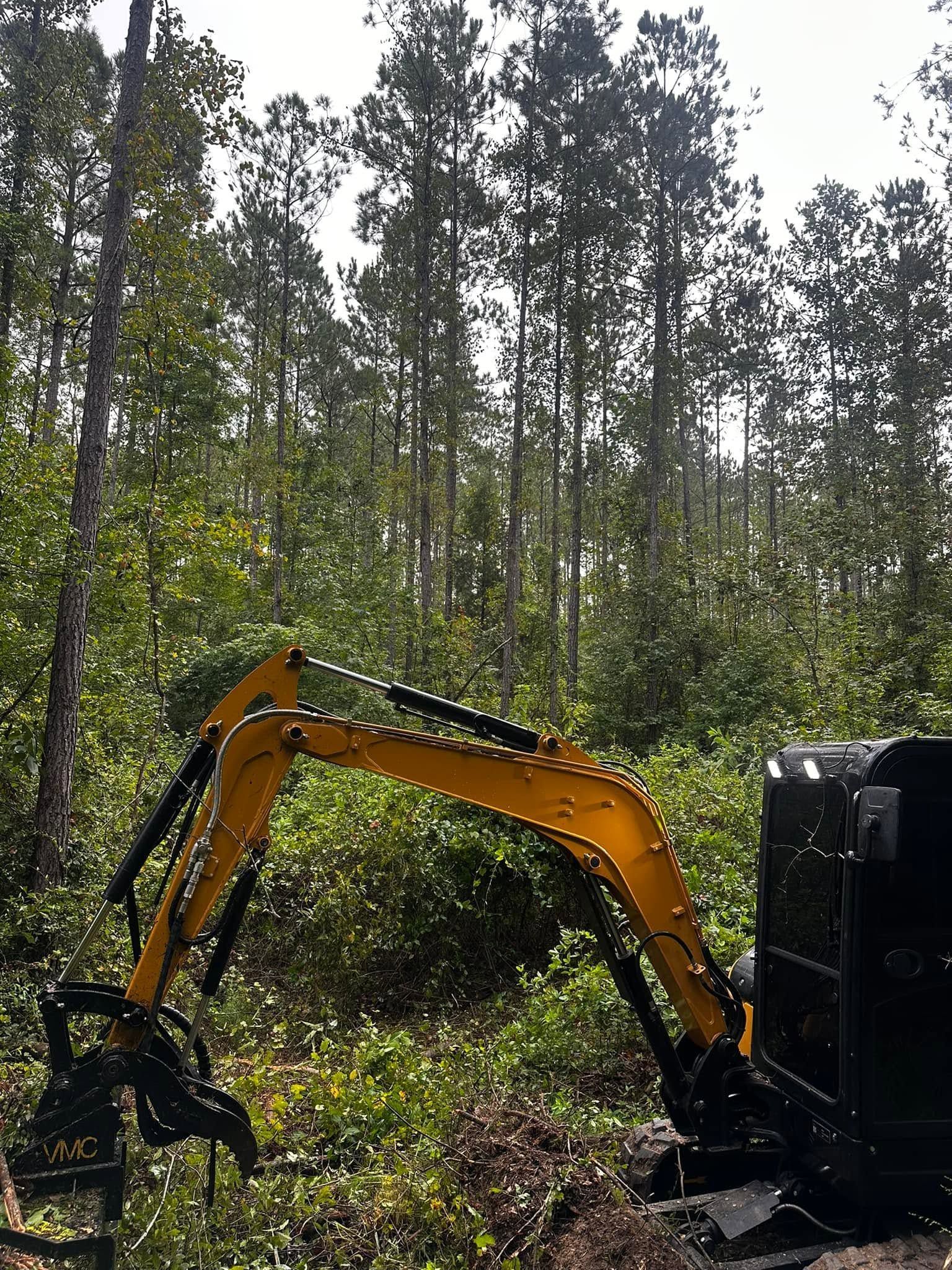 Orange excavator arm in a forest clearing with tall trees and brush around it