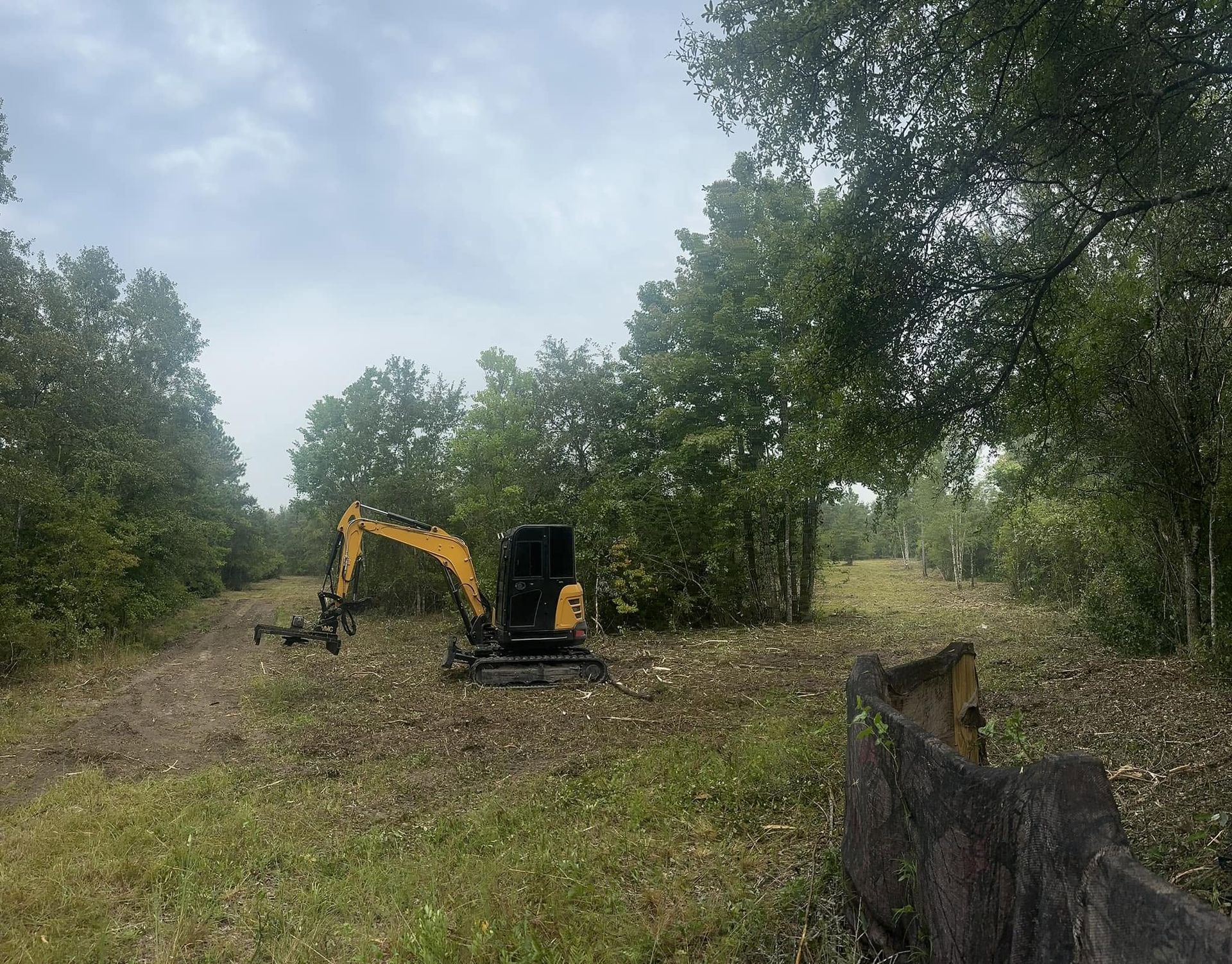 Excavator clearing brush in a wooded area under cloudy sky