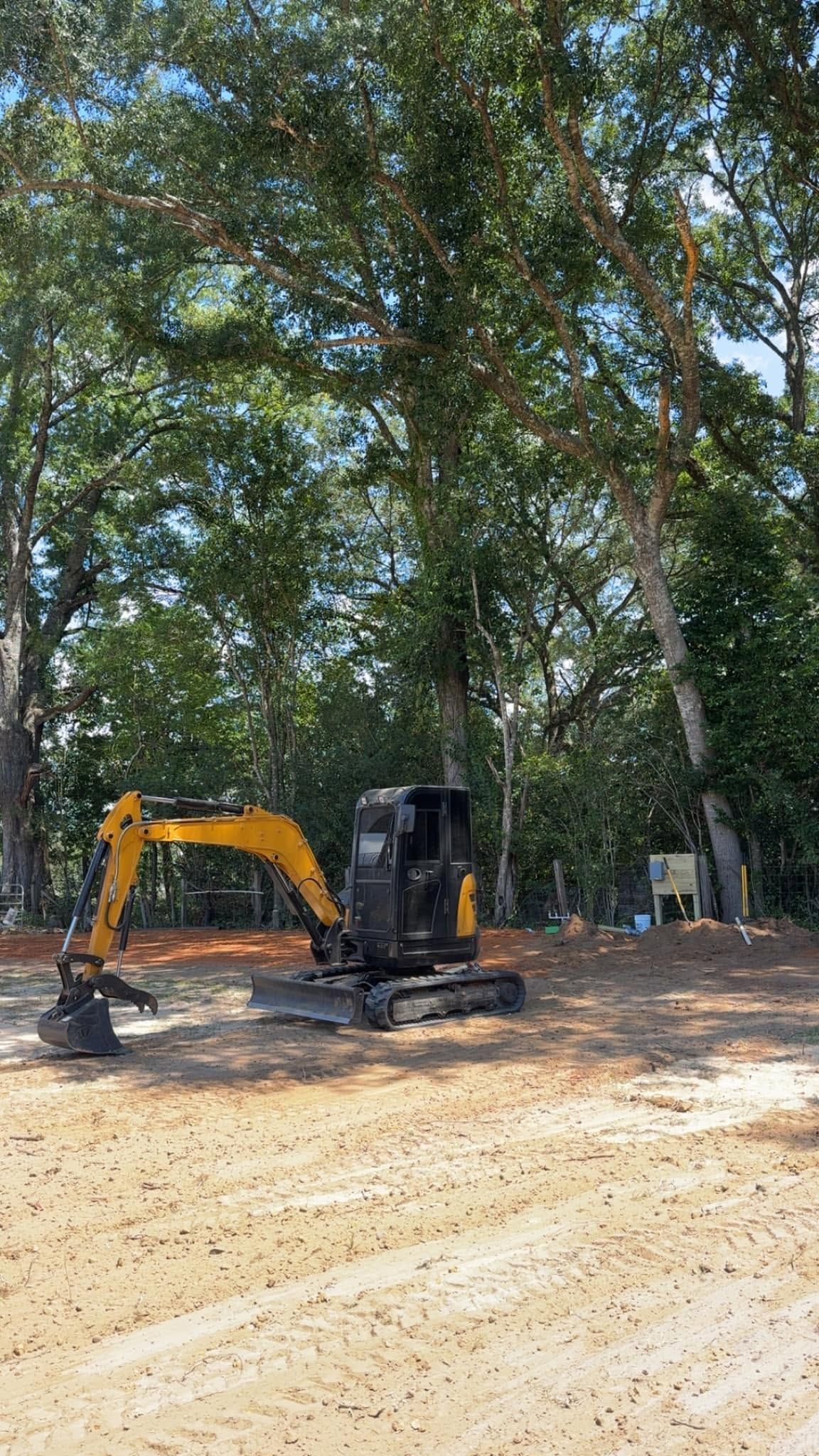 Small yellow excavator clearing a dirt lot beside tall trees in a wooded area