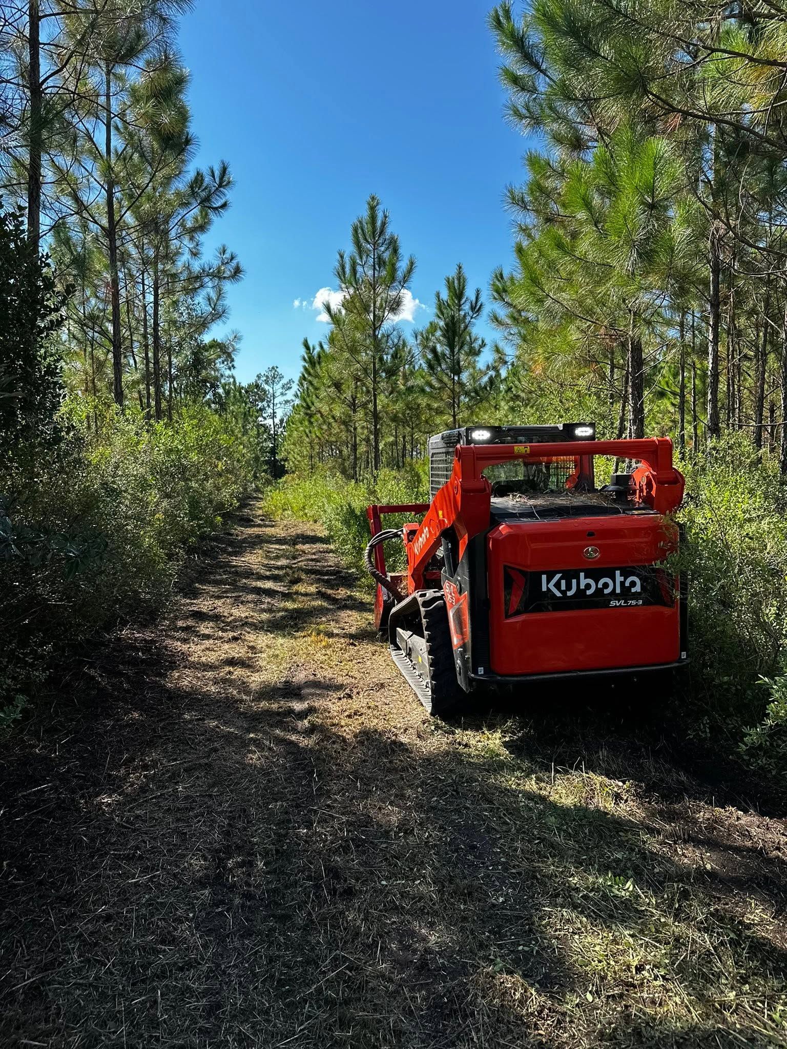 Red Kubota tractor on a dirt path in a sunny pine forest