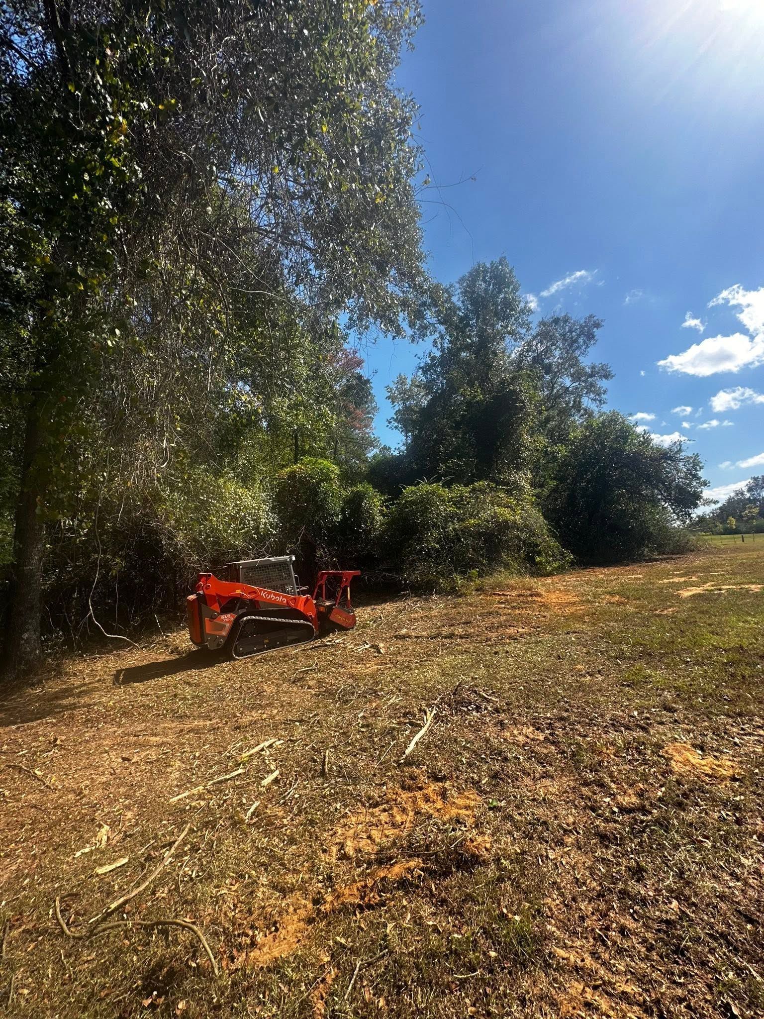 Red tractor in a sunlit orchard with trees and a dry, leaf-covered ground under a blue sky