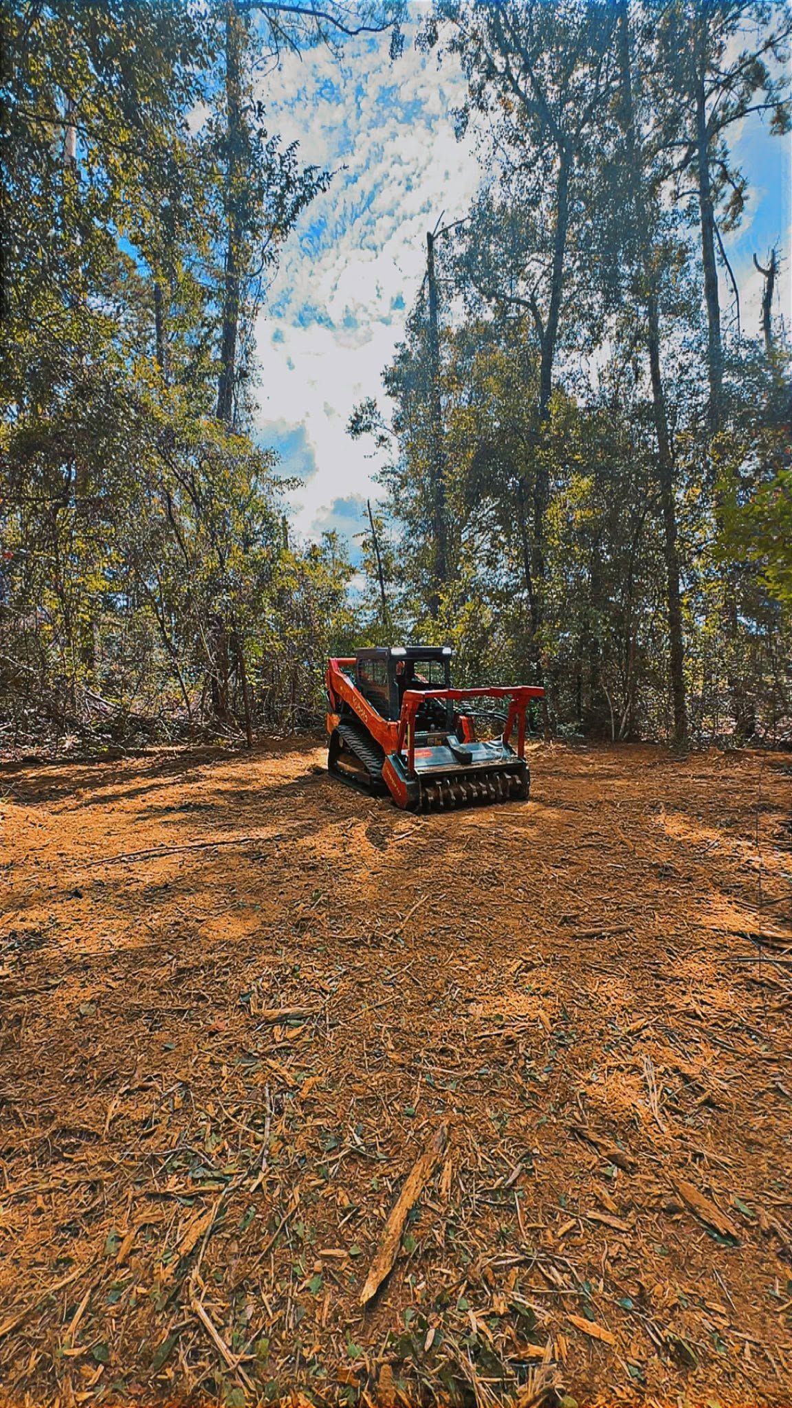 Red off-road vehicle on a leaf-covered forest trail with tall trees overhead