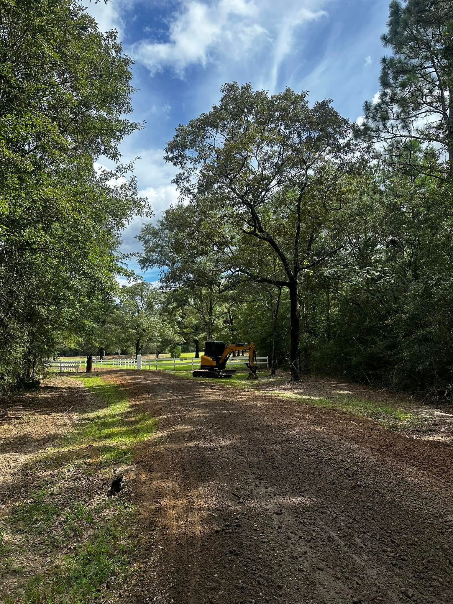 Tree-lined dirt path in a sunny orchard with a bench under the trees and blue sky above