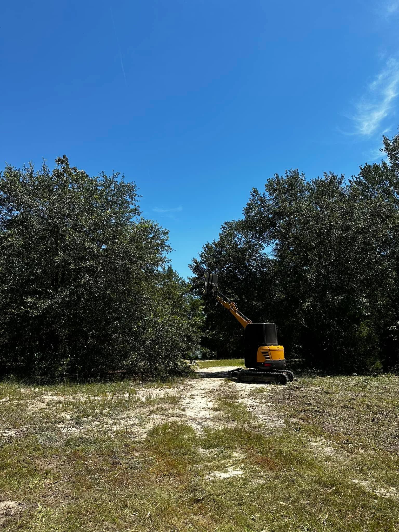 Yellow excavator in a grassy orchard under a clear blue sky