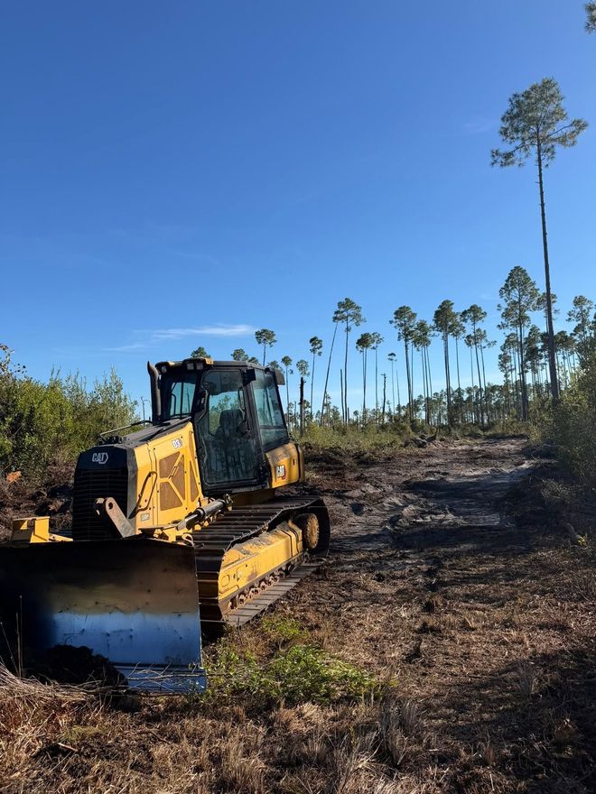 Yellow bulldozer on a dirt road clearing land under a blue sky with tall palm trees in the background