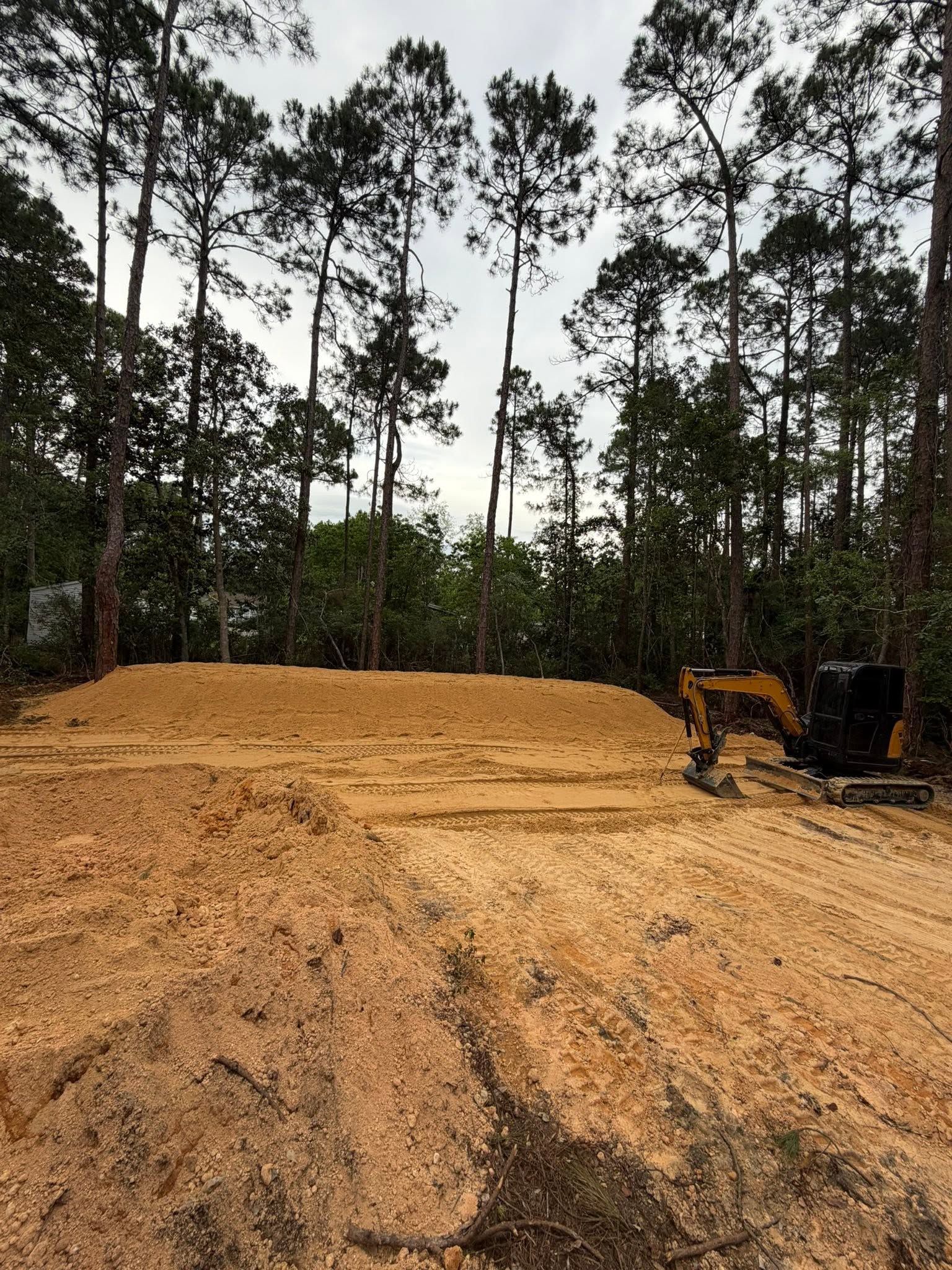 Cleared dirt lot with a small excavator at right, bordered by tall pine trees under an overcast sky