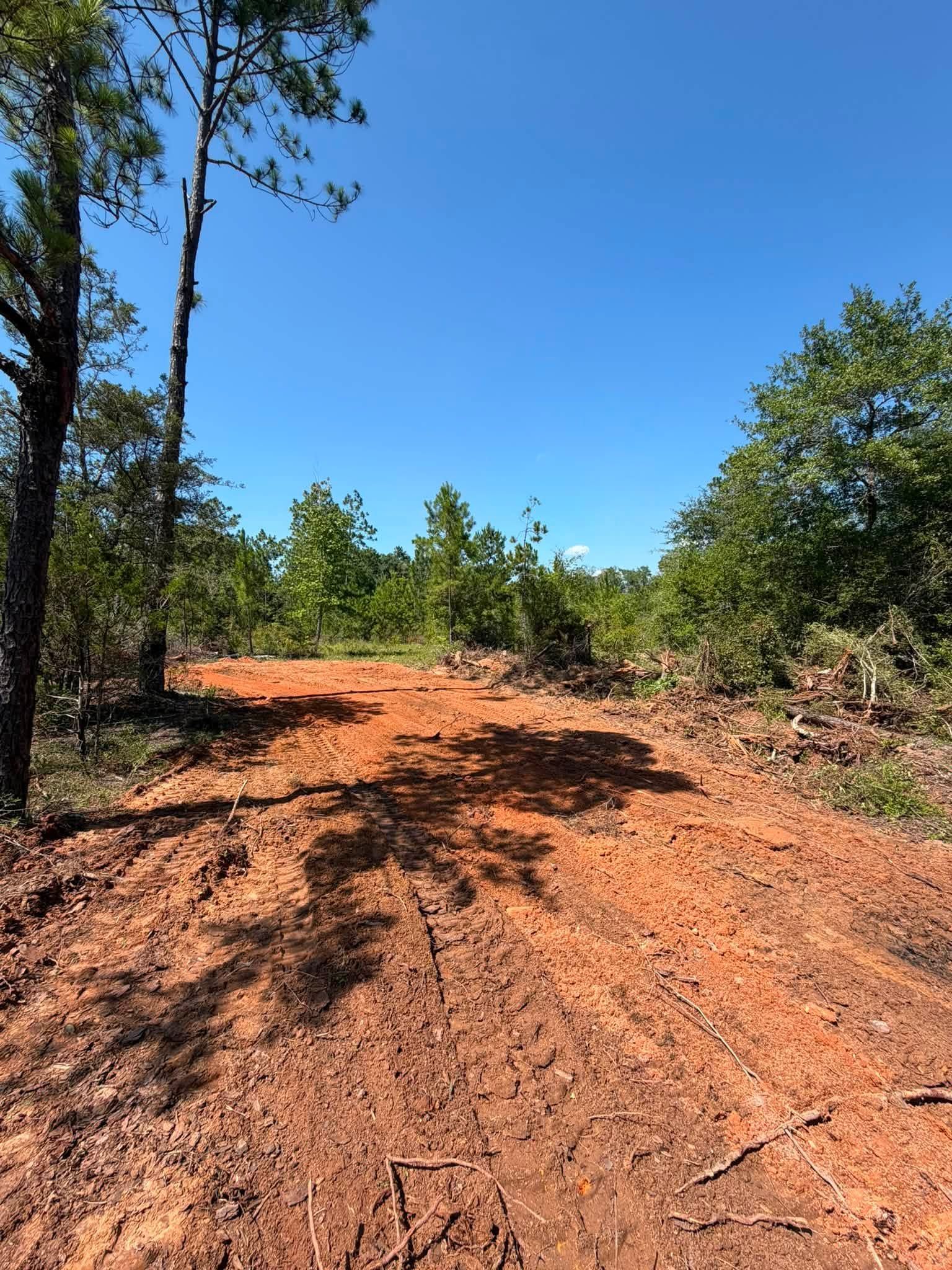 Red dirt road through a green wooded area under a clear blue sky
