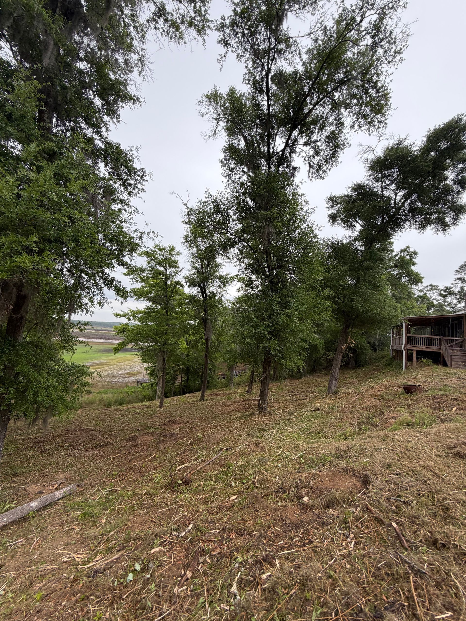 Grassy hillside with scattered trees under an overcast sky, with a small shed at right.