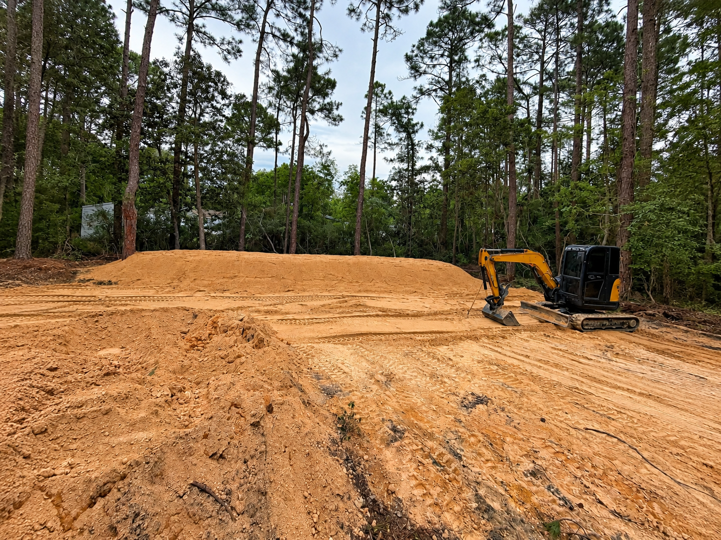 Bulldozer grading a sandy construction site with tall pine trees in the background