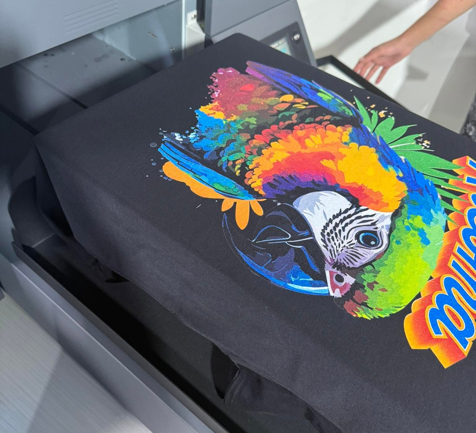 Custom Garment Printing in La Porte, TX Custom Garment Printing in La Porte, TX
