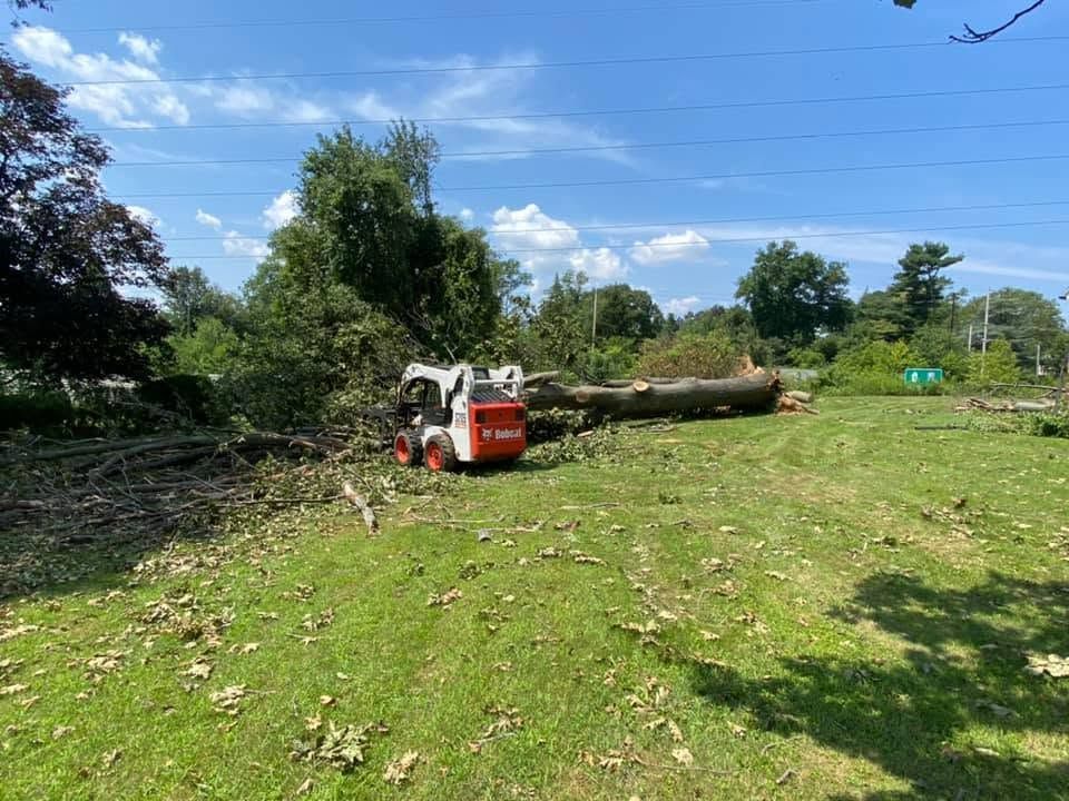 Small skid steer clearing fallen tree branches in a grassy field on a sunny day
