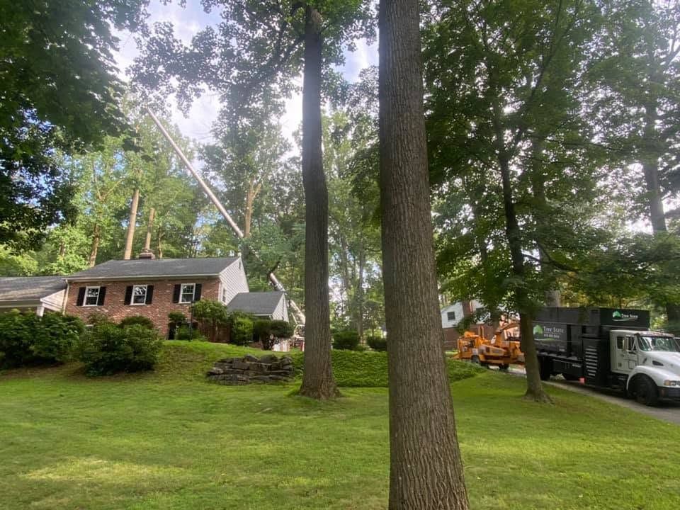 Tree-filled suburban yard with a brick house and parked utility truck along the driveway