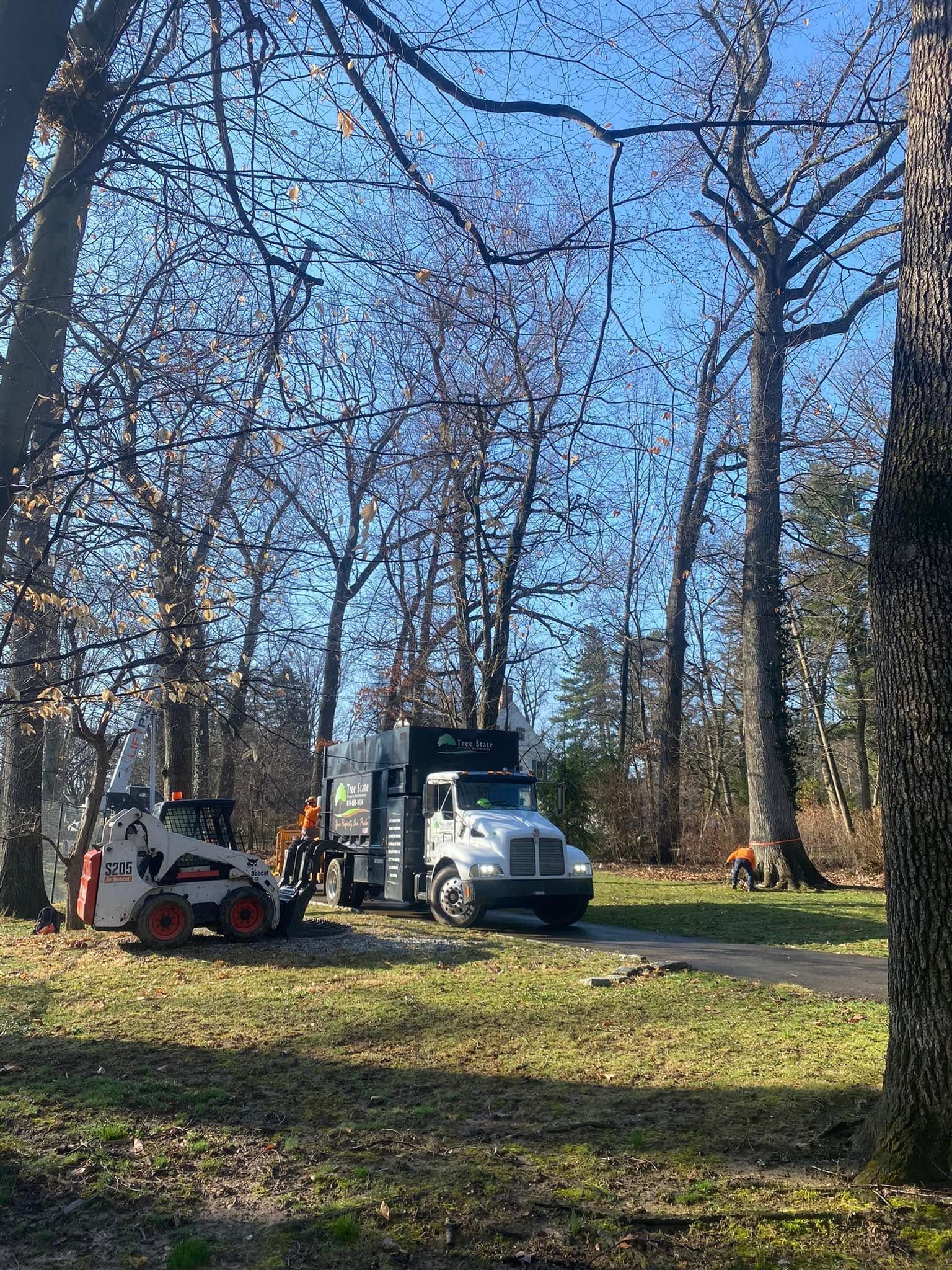 White utility truck and worker in a leaf-covered park under bare trees on a sunny day