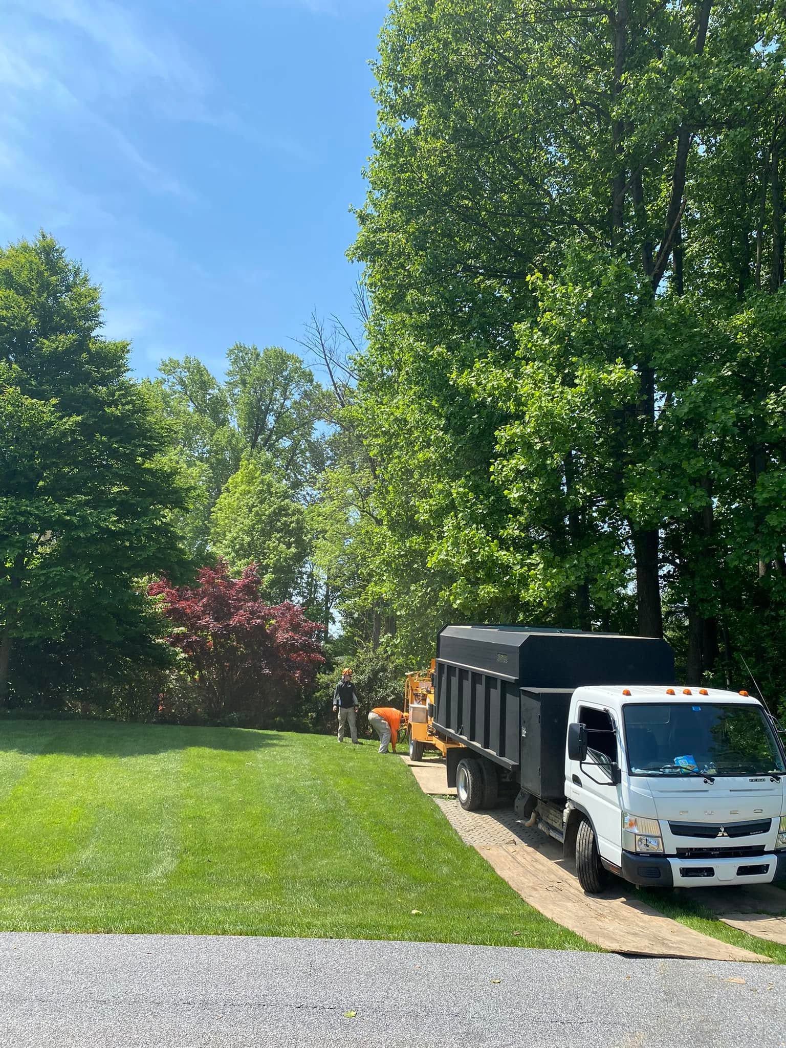 Dump truck and small excavator on a grassy lot beside a paved path, under tall green trees and blue sky