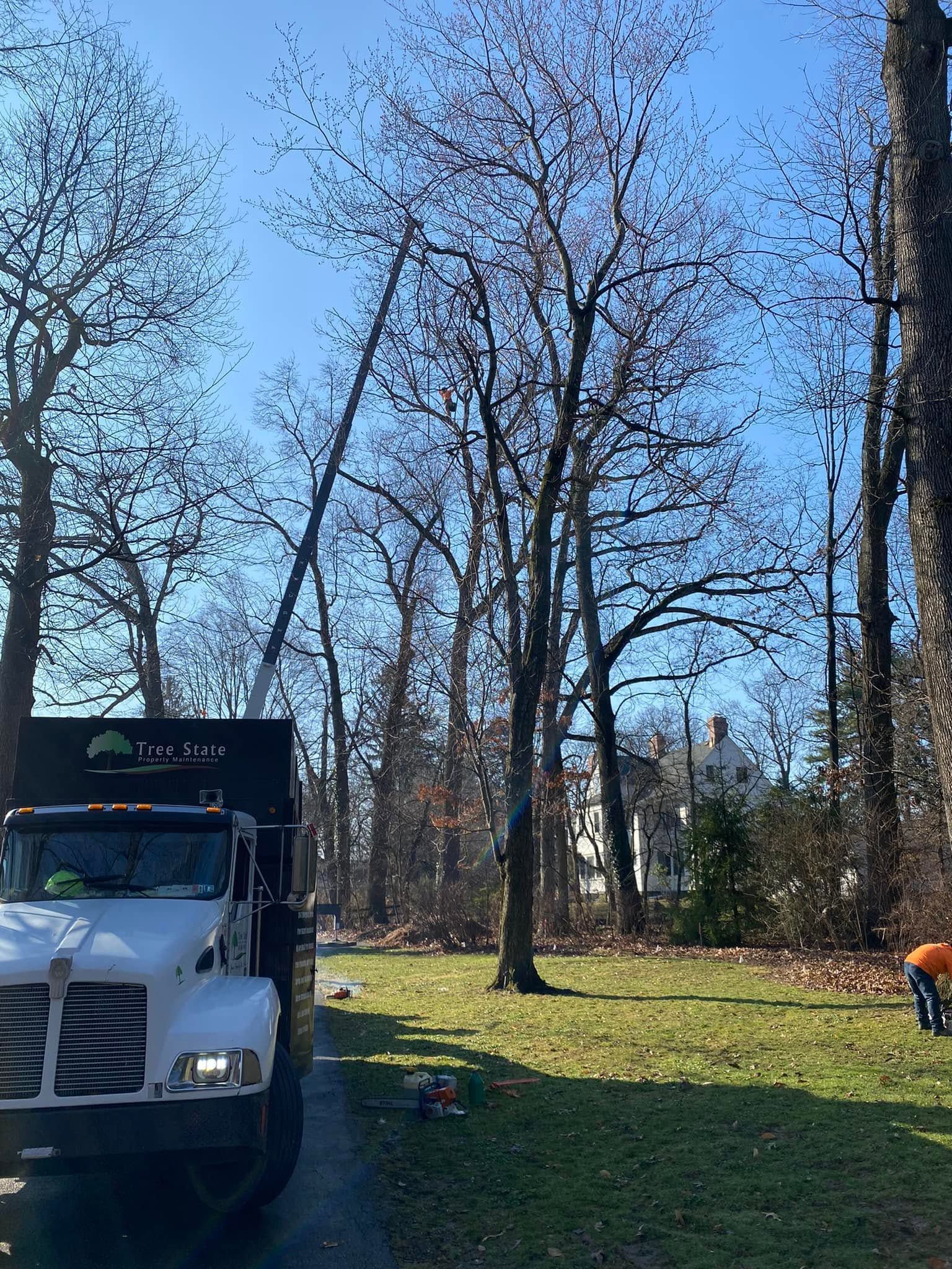 White truck in a wooded park with bare trees under a clear blue sky, a person on the right mowing grass.