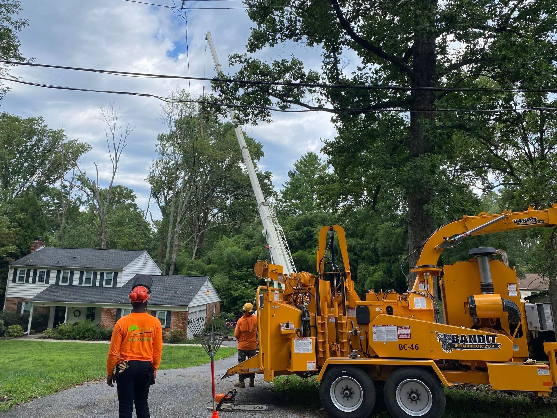 Utility crew using a bucket truck to trim trees along a residential street