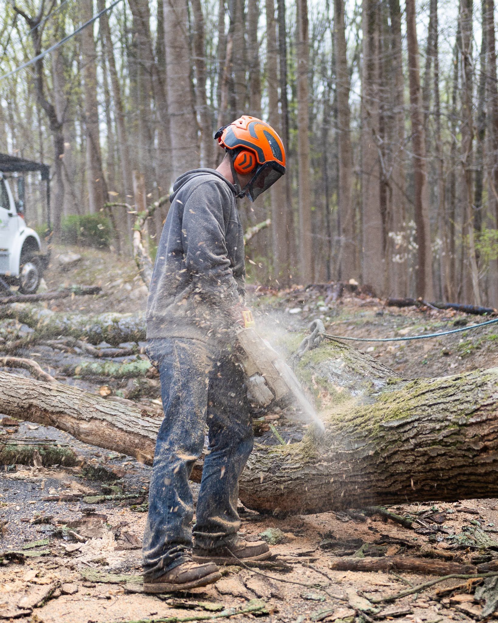 Person in orange helmet chainsawing a fallen log in a wooded area, with sawdust flying.