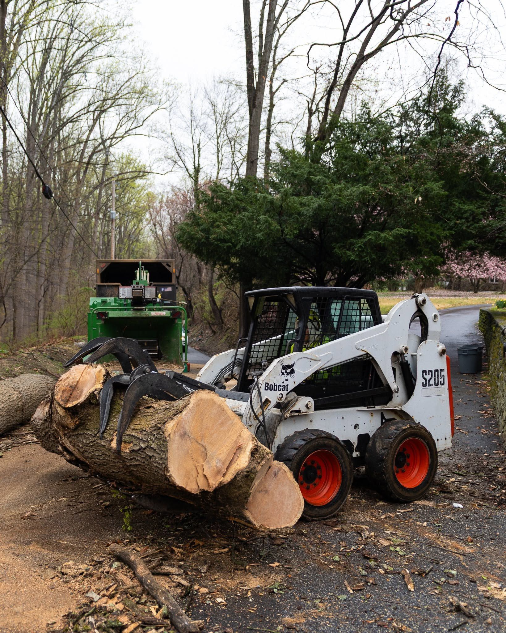 Skid steer lifting a large tree log on a leaf-covered roadside, with another machine behind it.
