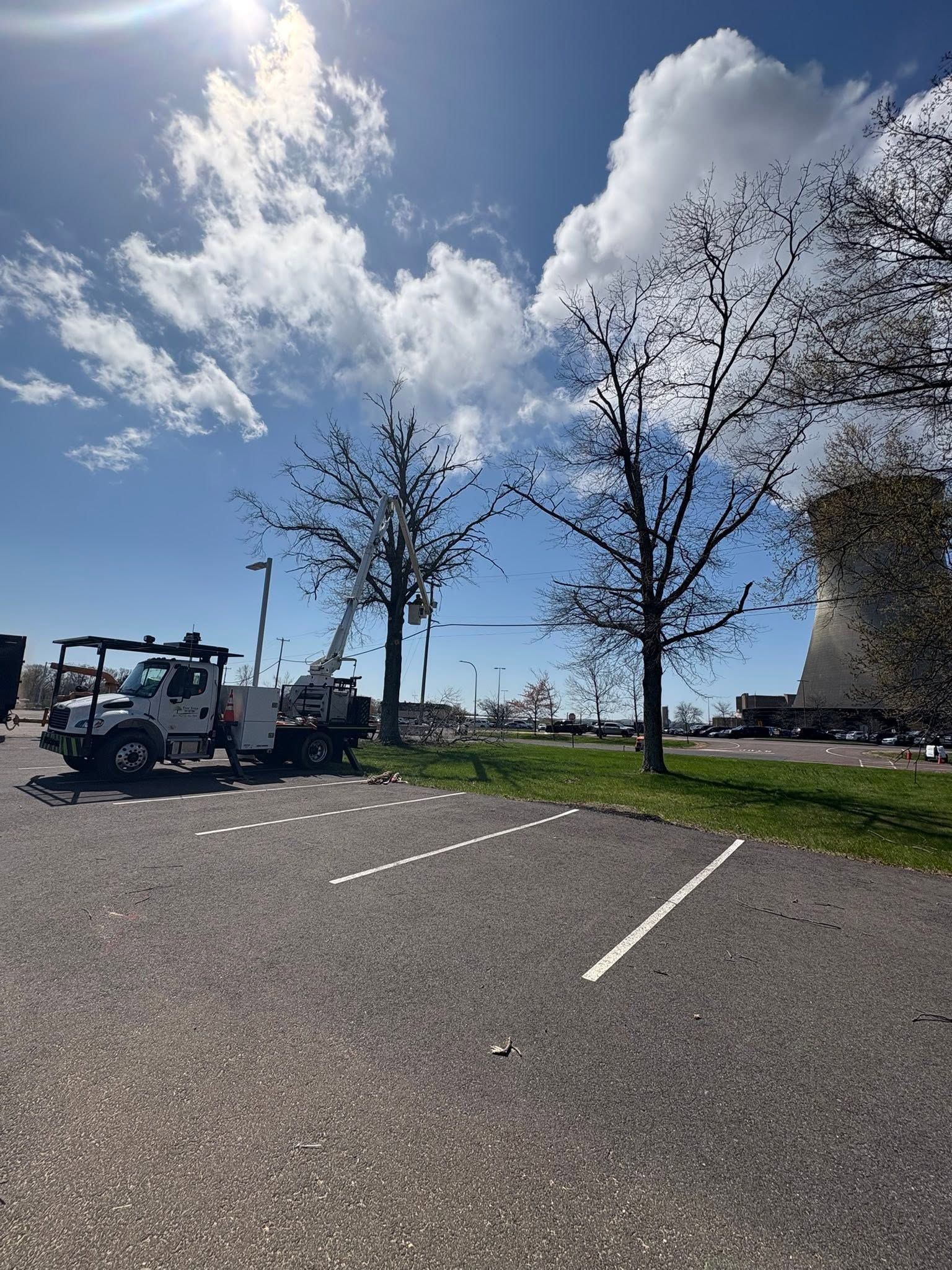 Parking lot with work trucks under a bright blue sky and leafless trees