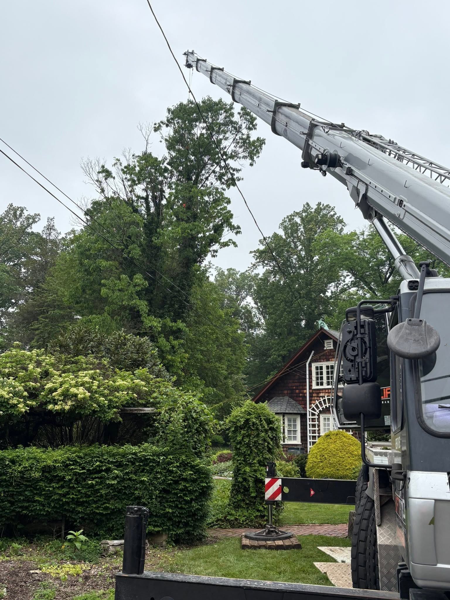 Crane lifting tree branches beside a house and hedge in a residential yard