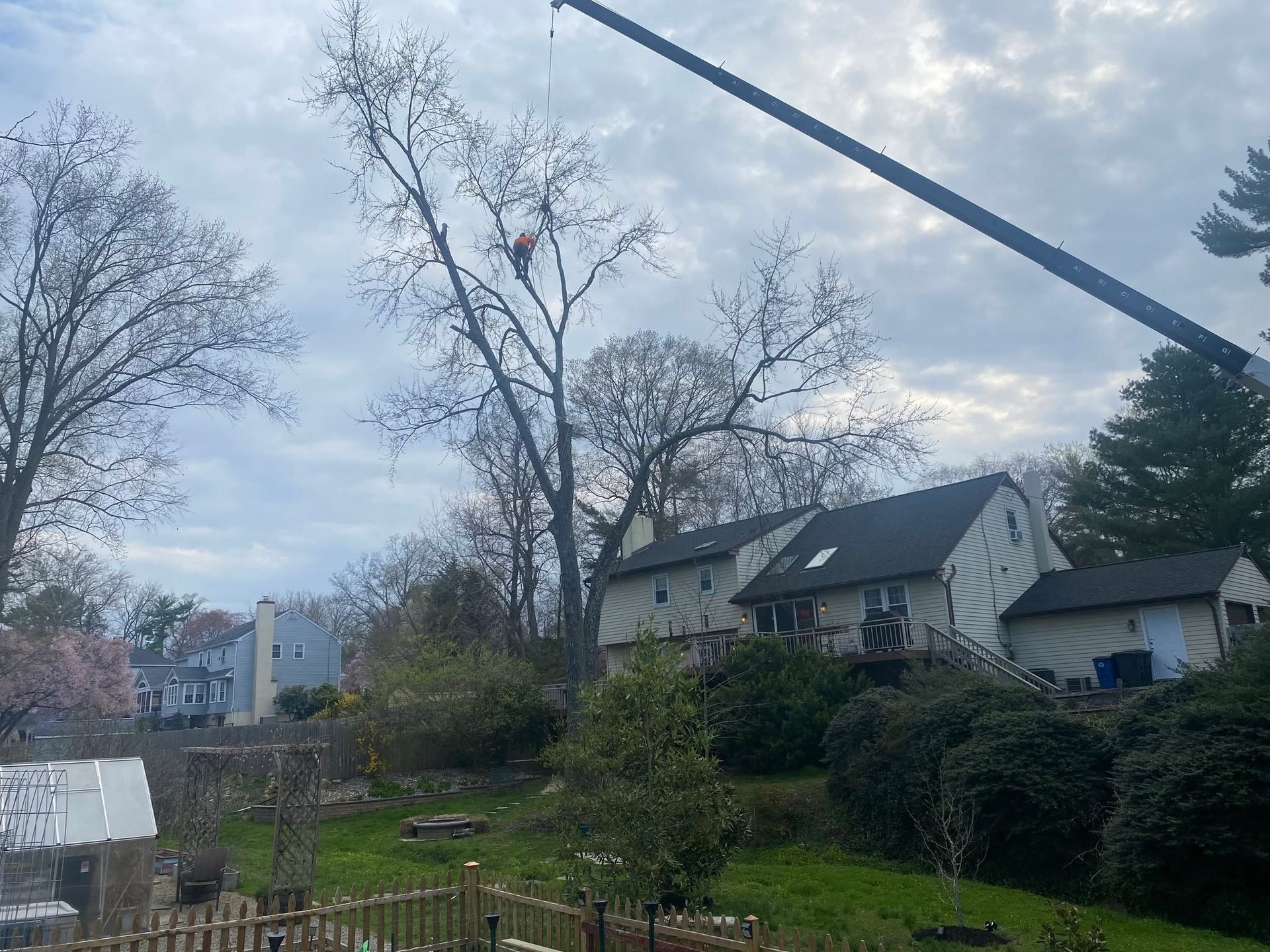 Suburban backyard with trees, hedges, a house, and a cloudy sky, with a crane arm crossing overhead