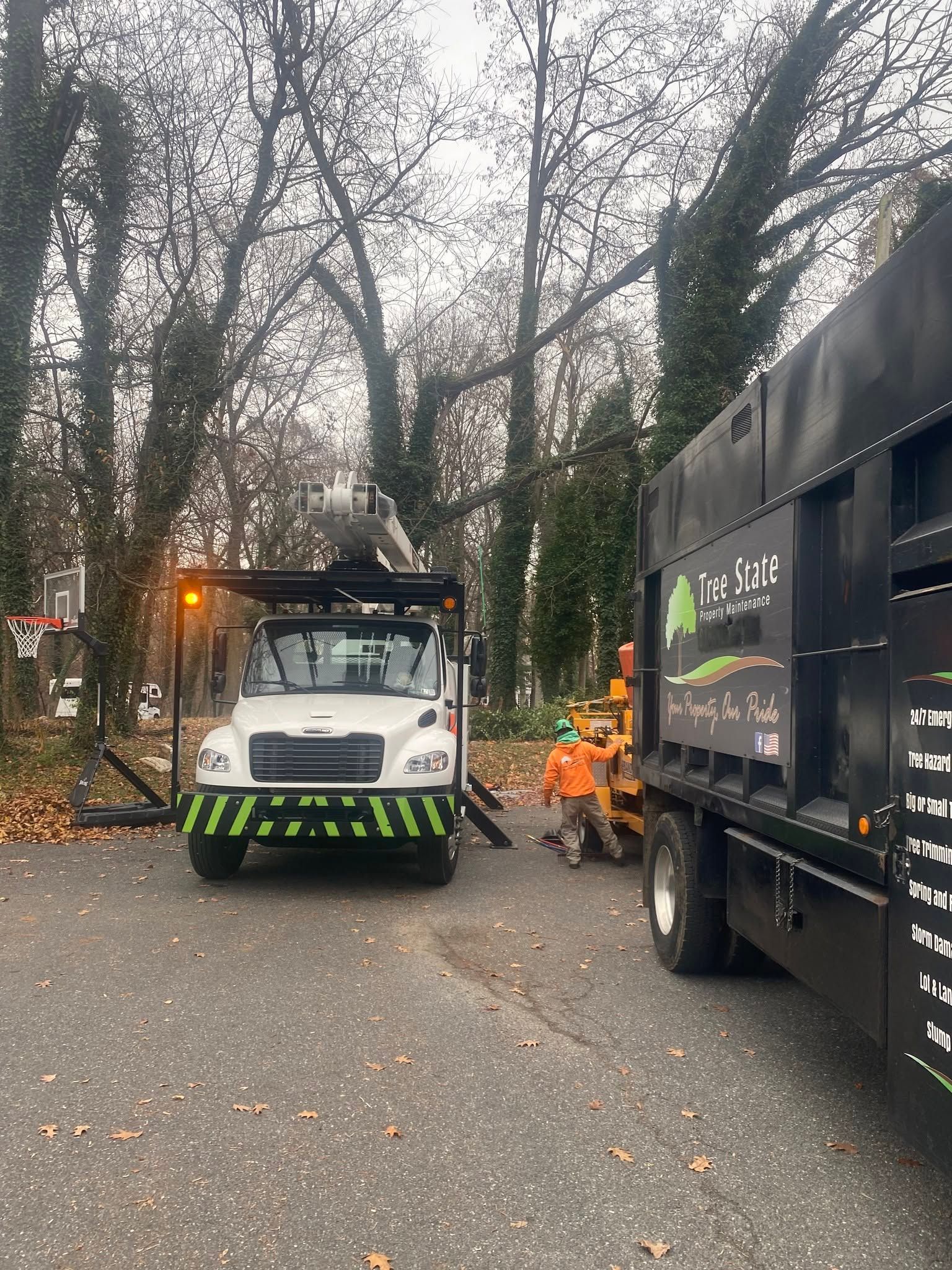 Utility truck on a leaf-covered road beside a black dump truck, with another worker vehicle ahead under bare trees.