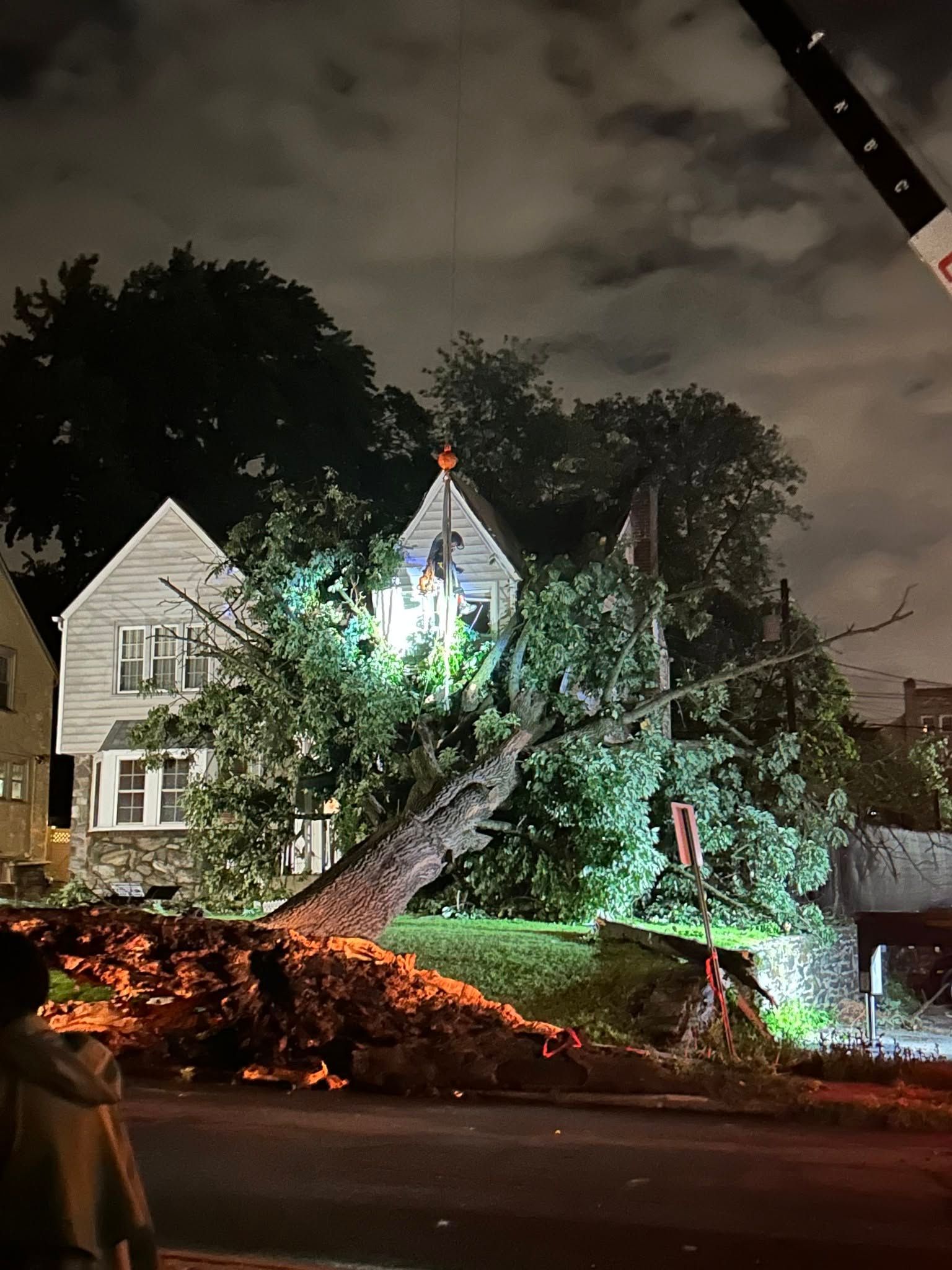 Nighttime street scene with a fallen tree across the road, emergency lights, and houses illuminated in the background.