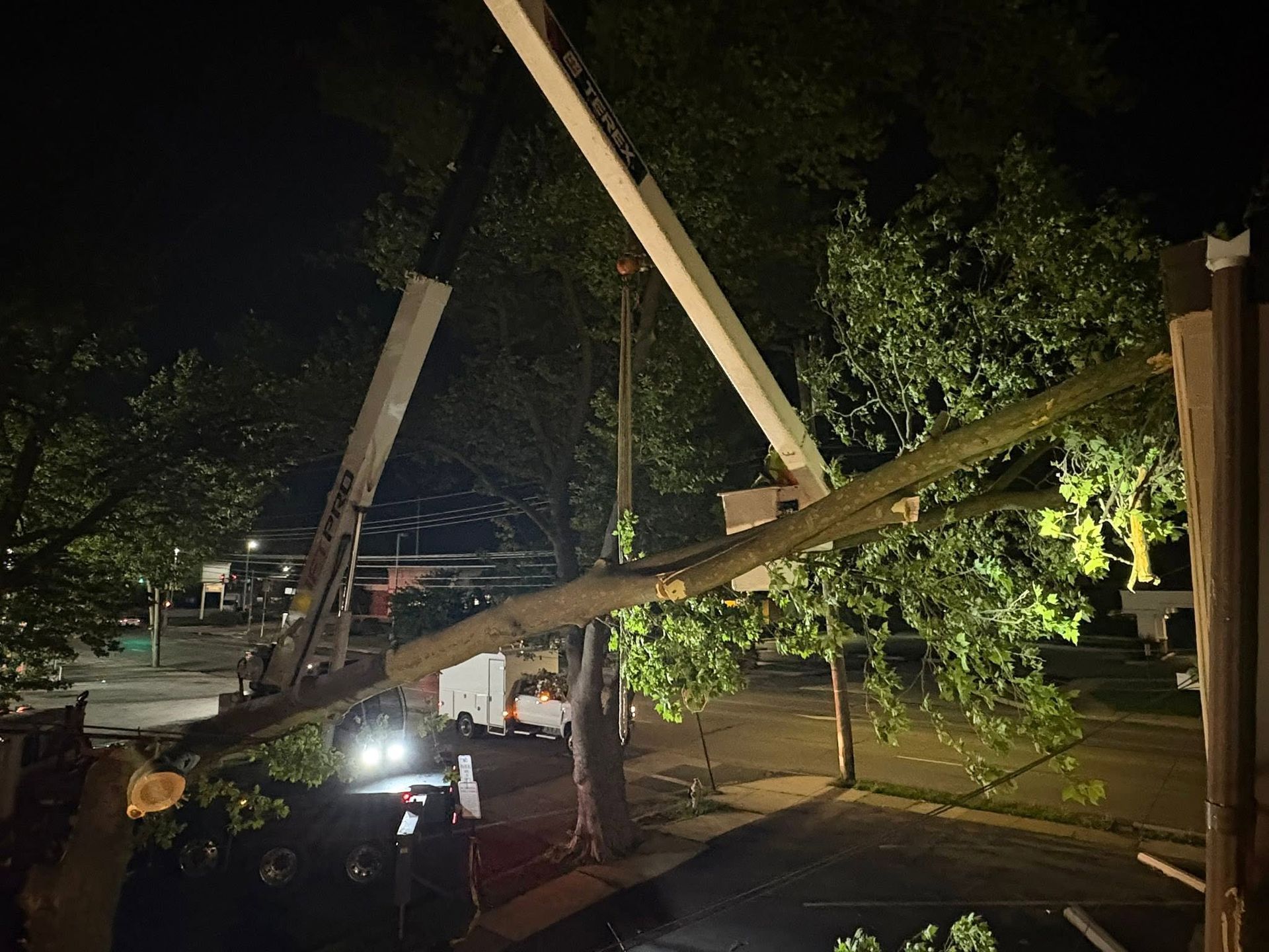 Collapsed wooden structure at night with trees and workers using bright lights.