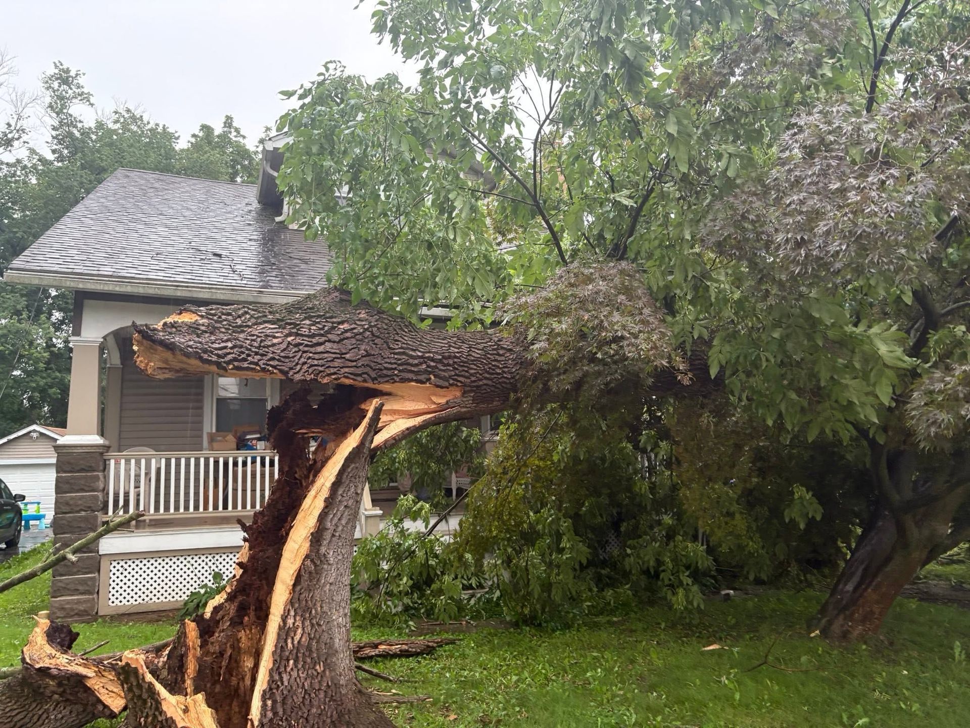 Storm-damaged house with a large uprooted tree fallen across the yard and porch