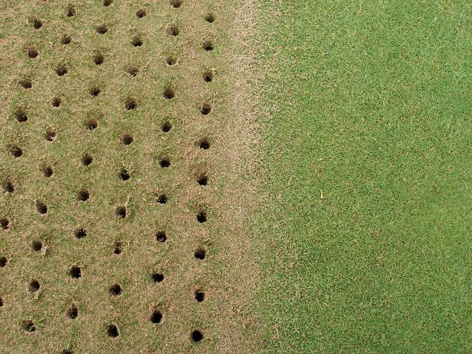 Close-up of green and tan perforated fabric with a grid of small holes