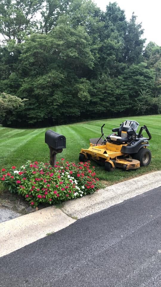 Riding mower cutting grass beside a flower bed and mailbox along a curb in a suburban yard